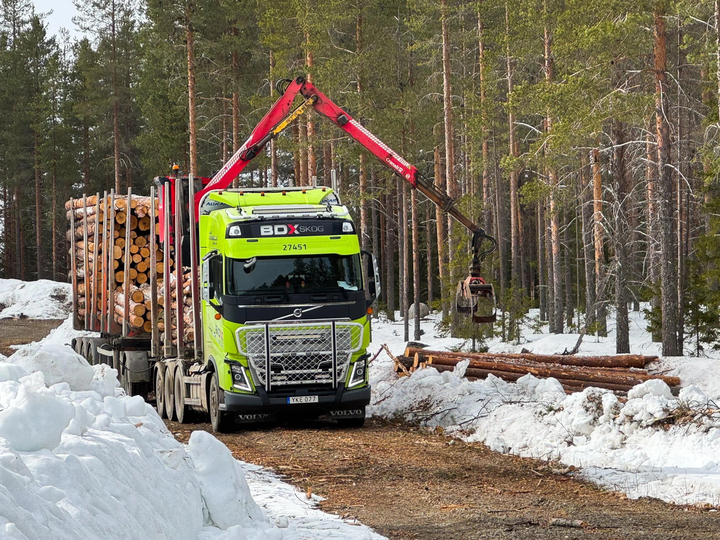En grön och svart skogstruck med kran som lastar stockar i en snötäckt skogsdunge.