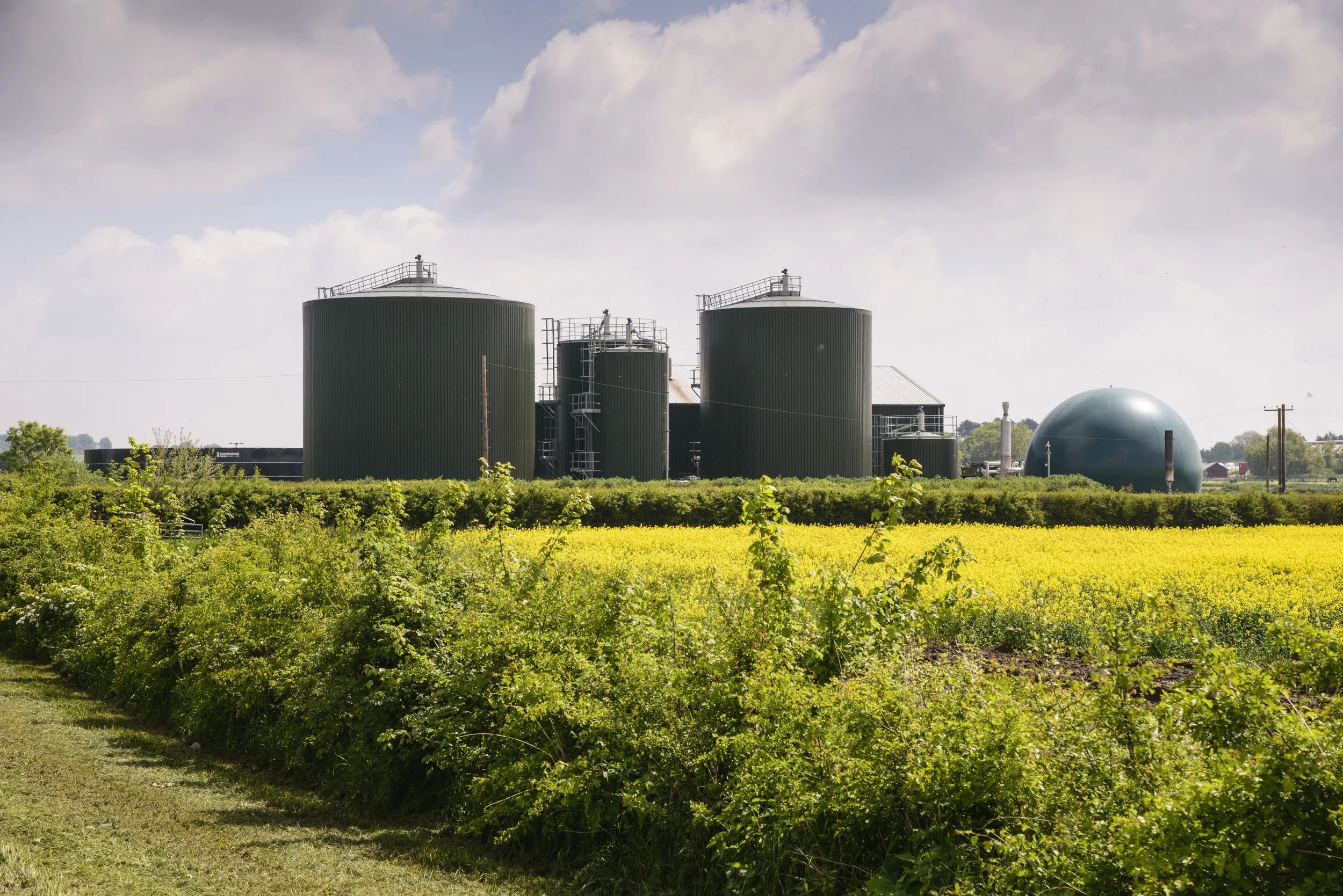 Large green anaerobic digestor (AD plant) in a rural setting, with green bushes and yellow oil seed rape in the foreground and a cloudy sky above.