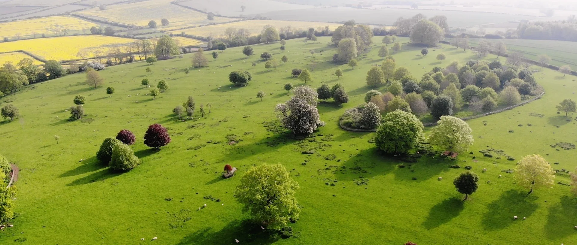 Aerial view of a lush green countryside with scattered trees, rolling hills, and small paths, illuminated by sunlight.