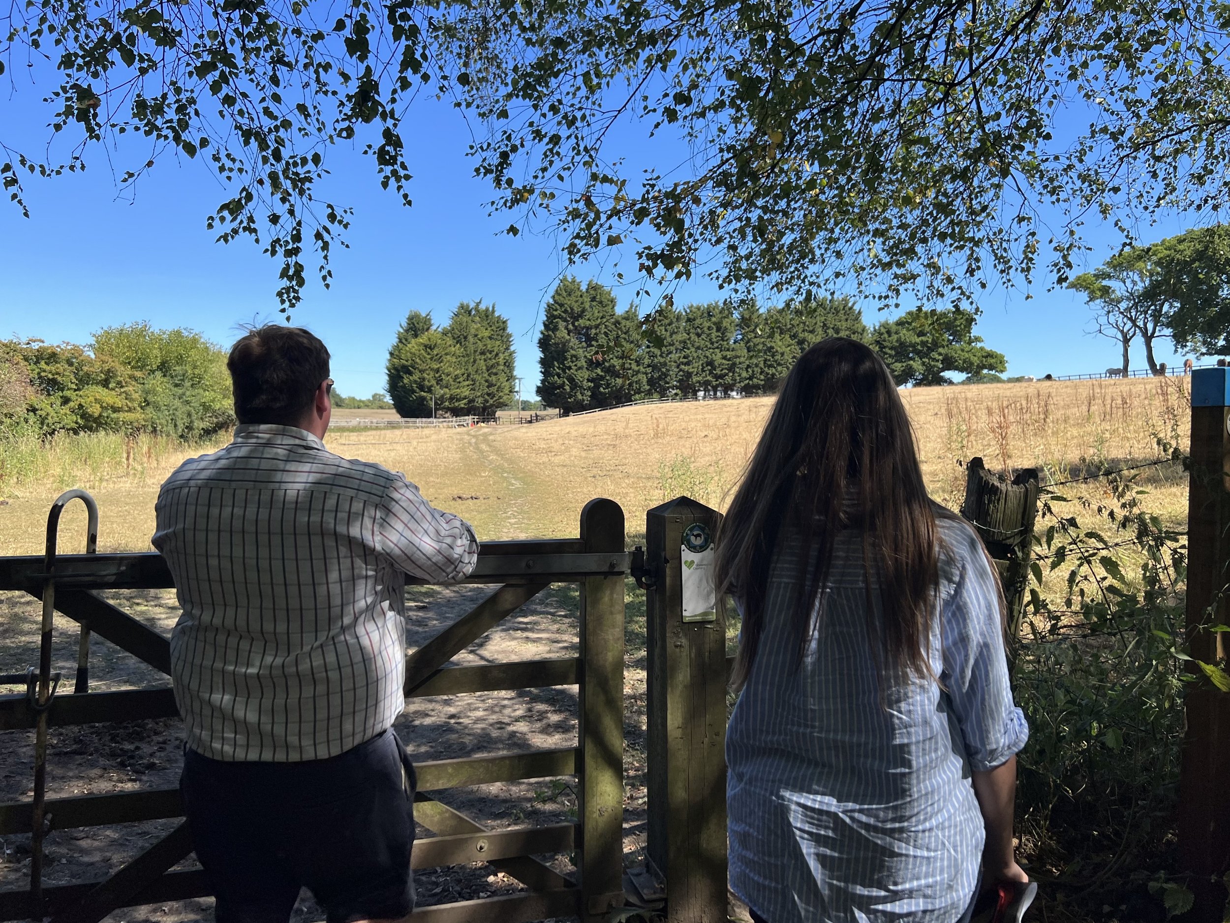 A man and woman stand at a wooden gate looking out over a grassy field with trees in the distance on a sunny day.