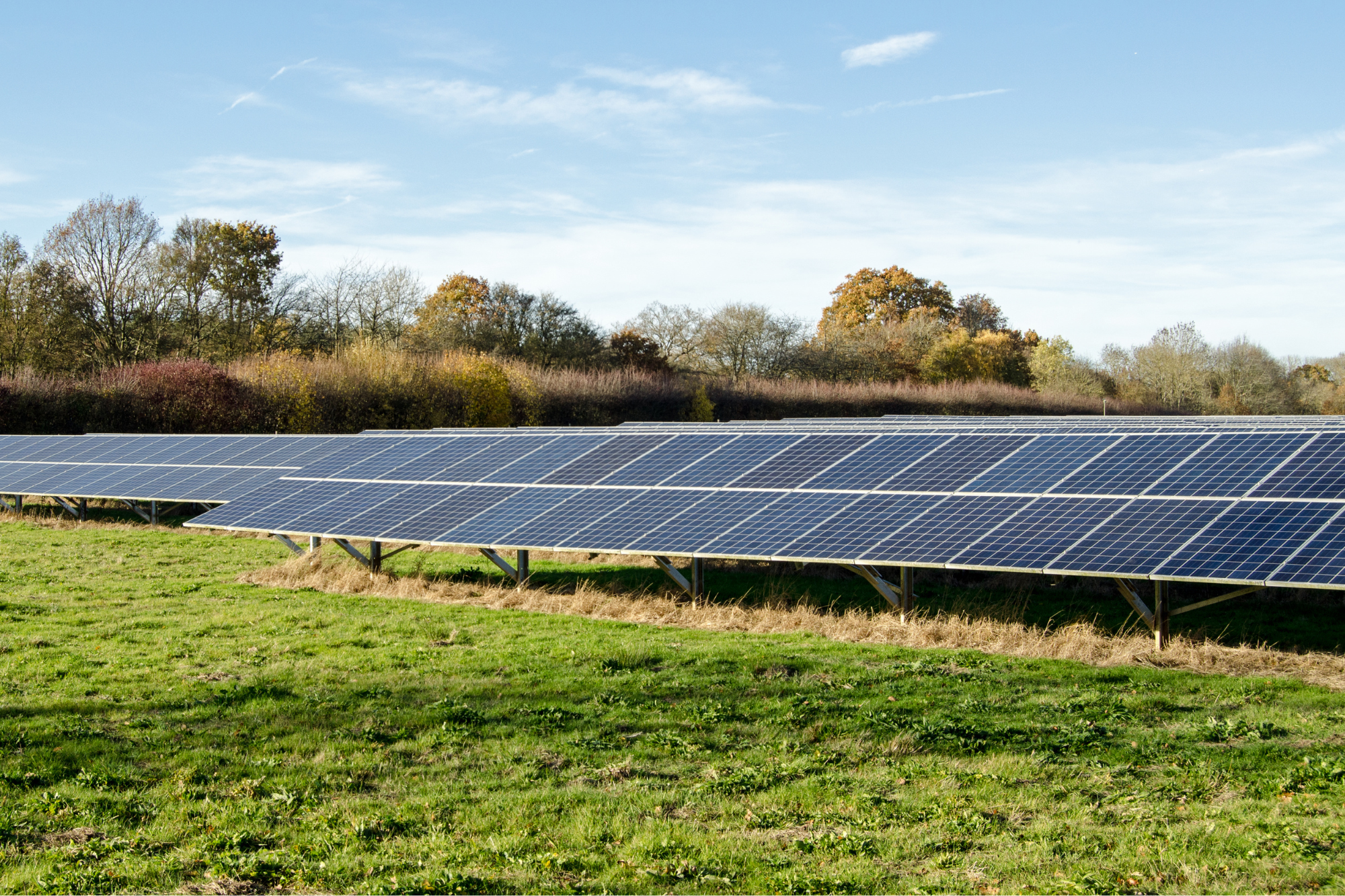 Solar panels installed on a grassy field with trees in the background