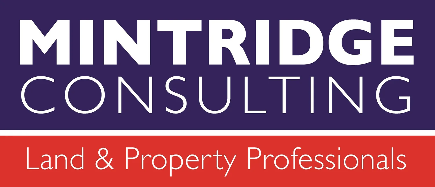 Mintridge Consulting