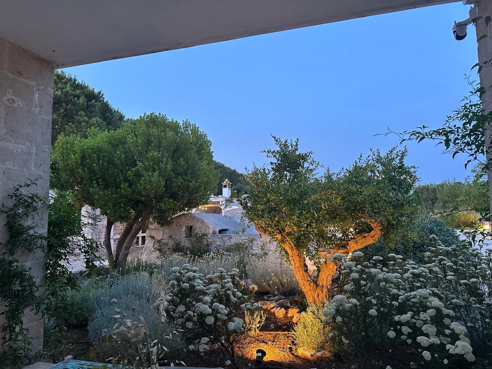 Kitchen garden lights.jpg