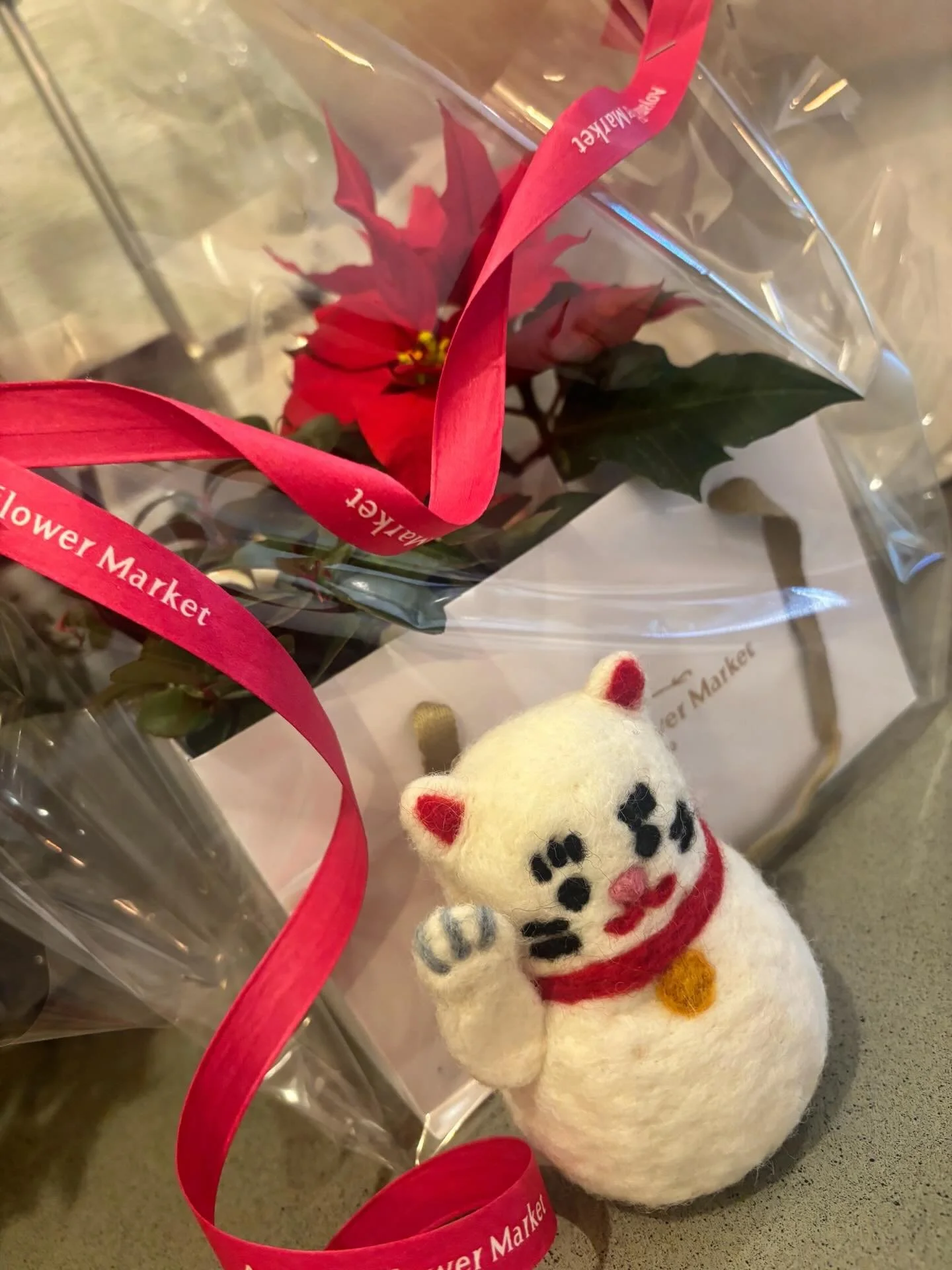 💚可愛い仲間が加わりました💚

こんにちは！
いよいよ師走！という雰囲気が出てきましたね✨
皆様年末に向けていかがお過ごしでしょうか？

この度ゆめみる森くにたちに新しく可愛い仲間が加わりました🥰
連れてきてくれてありがとうございます♪
@natu_nami_ 

年内の疲れを年内のうちに！
お部屋暖かくしていつでもお待ちしております🌿🫧
本日まだ空きあり◎

#国立リラクゼーション#招き猫
#特別な空間#年内の疲れ年内のうちに#持ち越さない疲れ