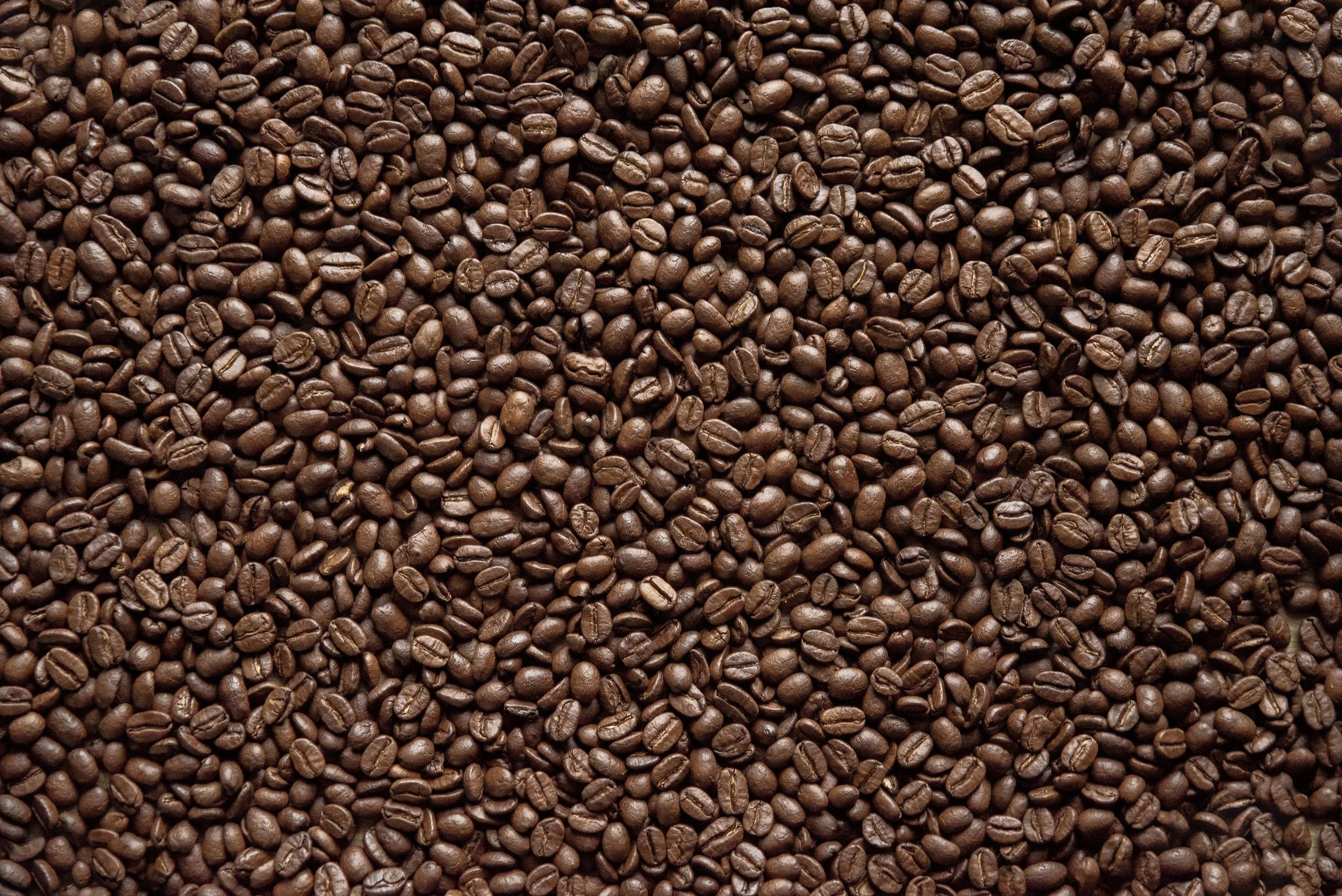 Close-up of roasted coffee beans covering the entire image.