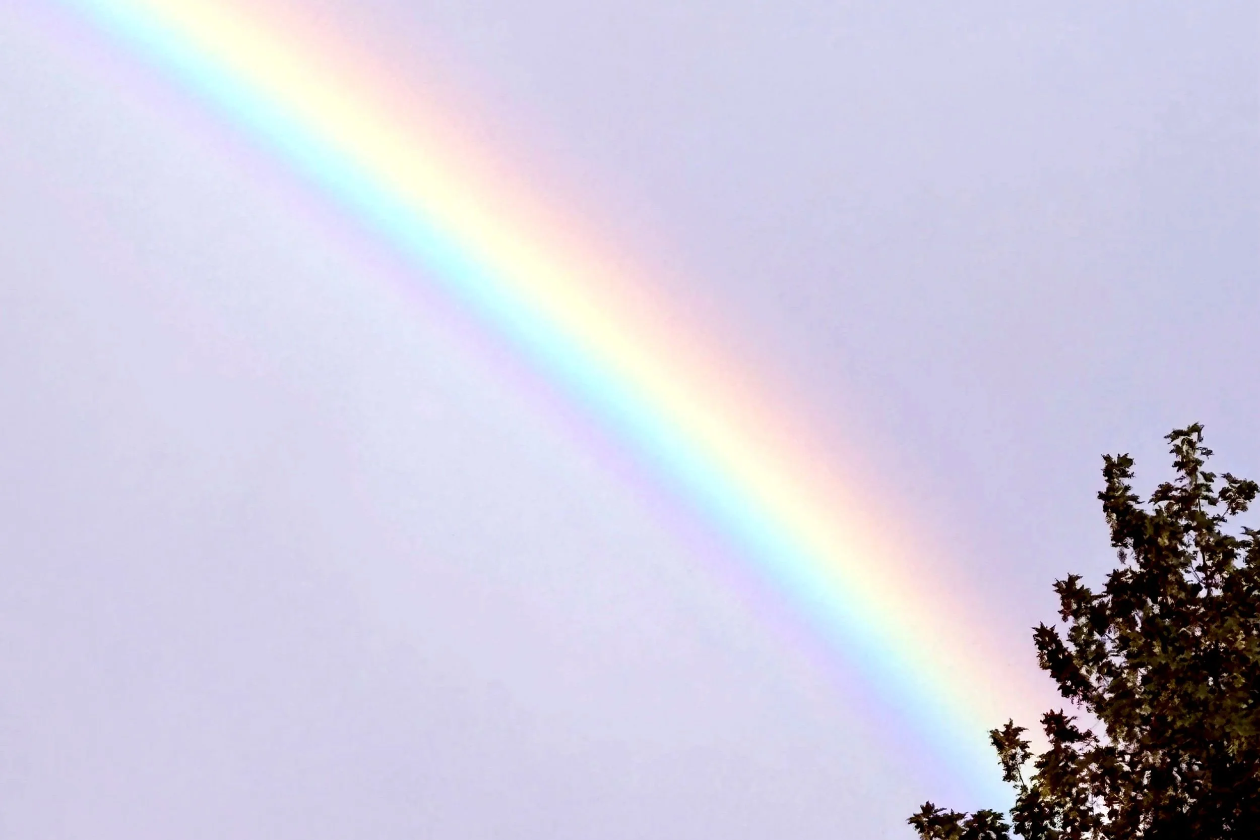 Perfectionism, Overthinking and the Dream You Keep Putting Off