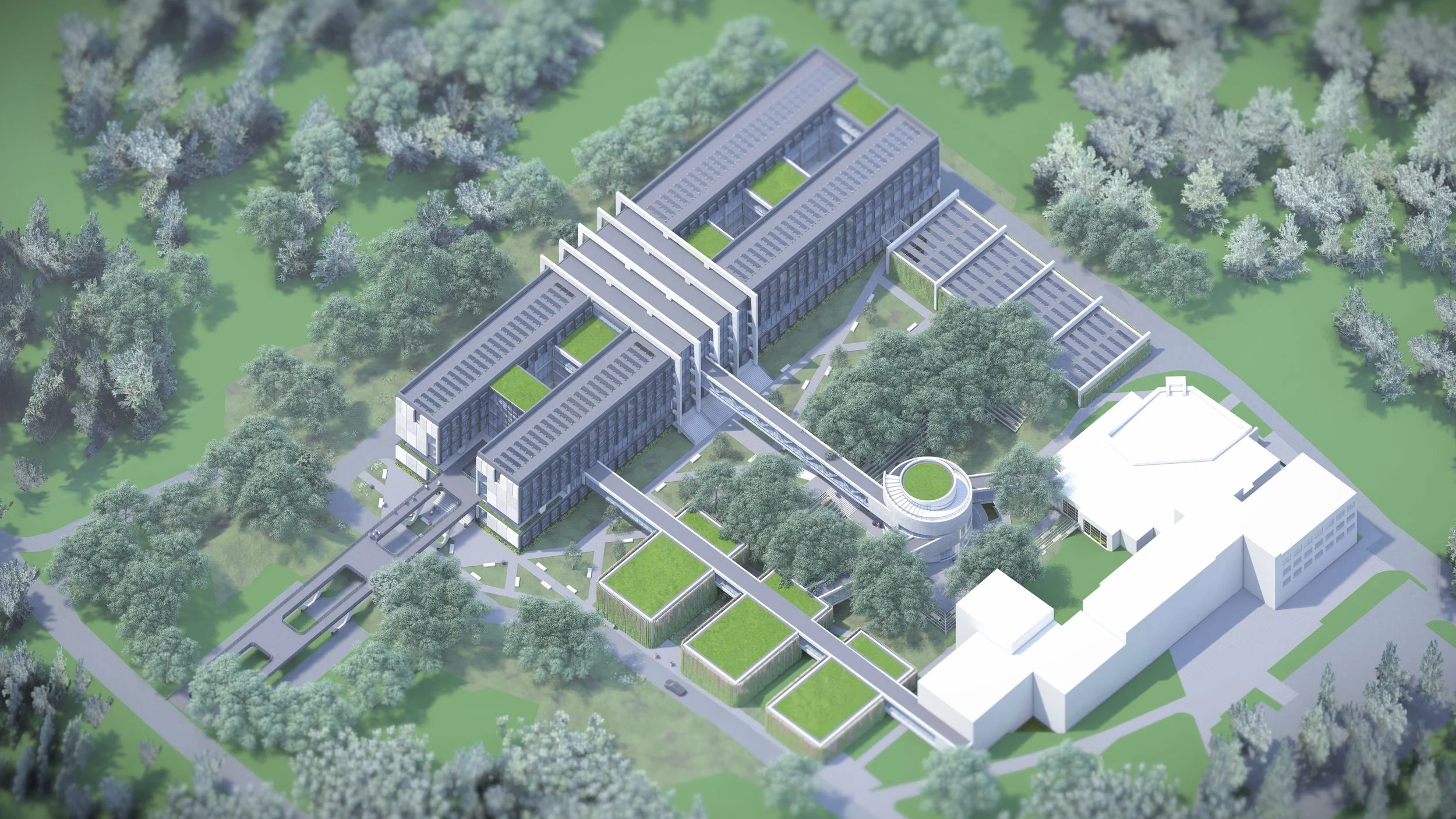 Wydział Informatyki ZST + Szczecin