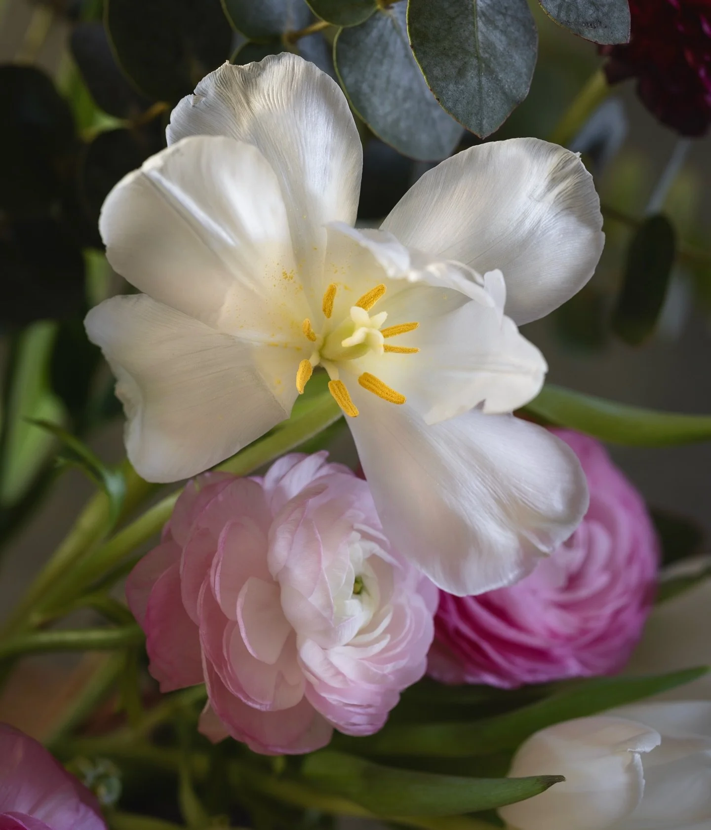 F r a g i l e

Guide me through the falling
Like the wind does for the leaves.
Perhaps embracing this season of release
will lift my soul in the direction of all that my heart truly seeks. 

#myseasonalstory #tulip #ranunculus #seasonalflowers #gathe