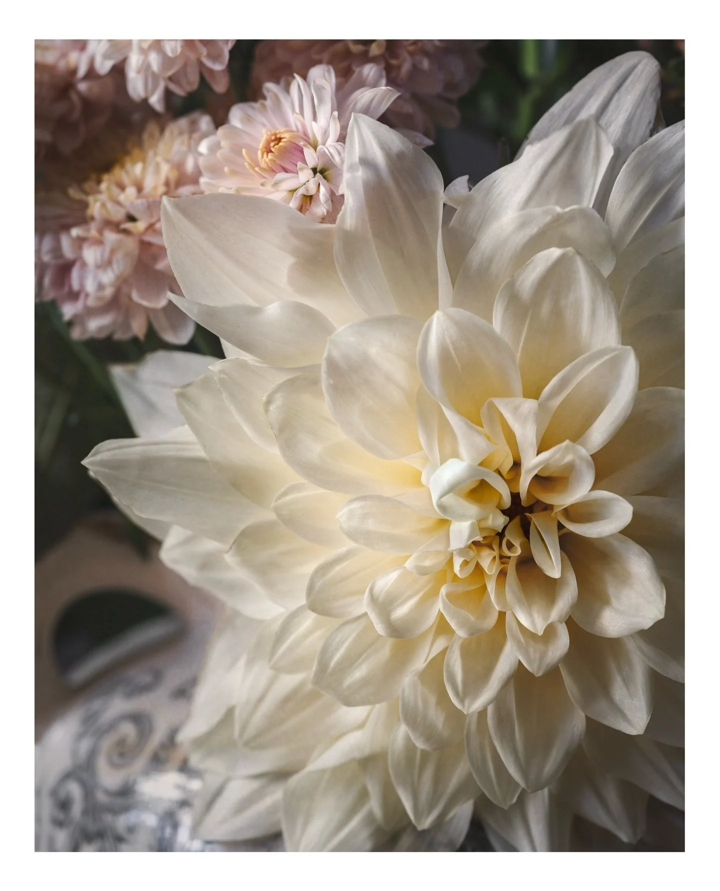 A W A K E N 

8 x 10&rdquo; 
Hahnem&uuml;hle Photo Rag&reg;
Archival paper

This timeless art print is an invitation to bring the beauty of nature into your home. A keepsake to be treasured. 

www.wishingwell-photography.co.uk 

#floralartprint #flor