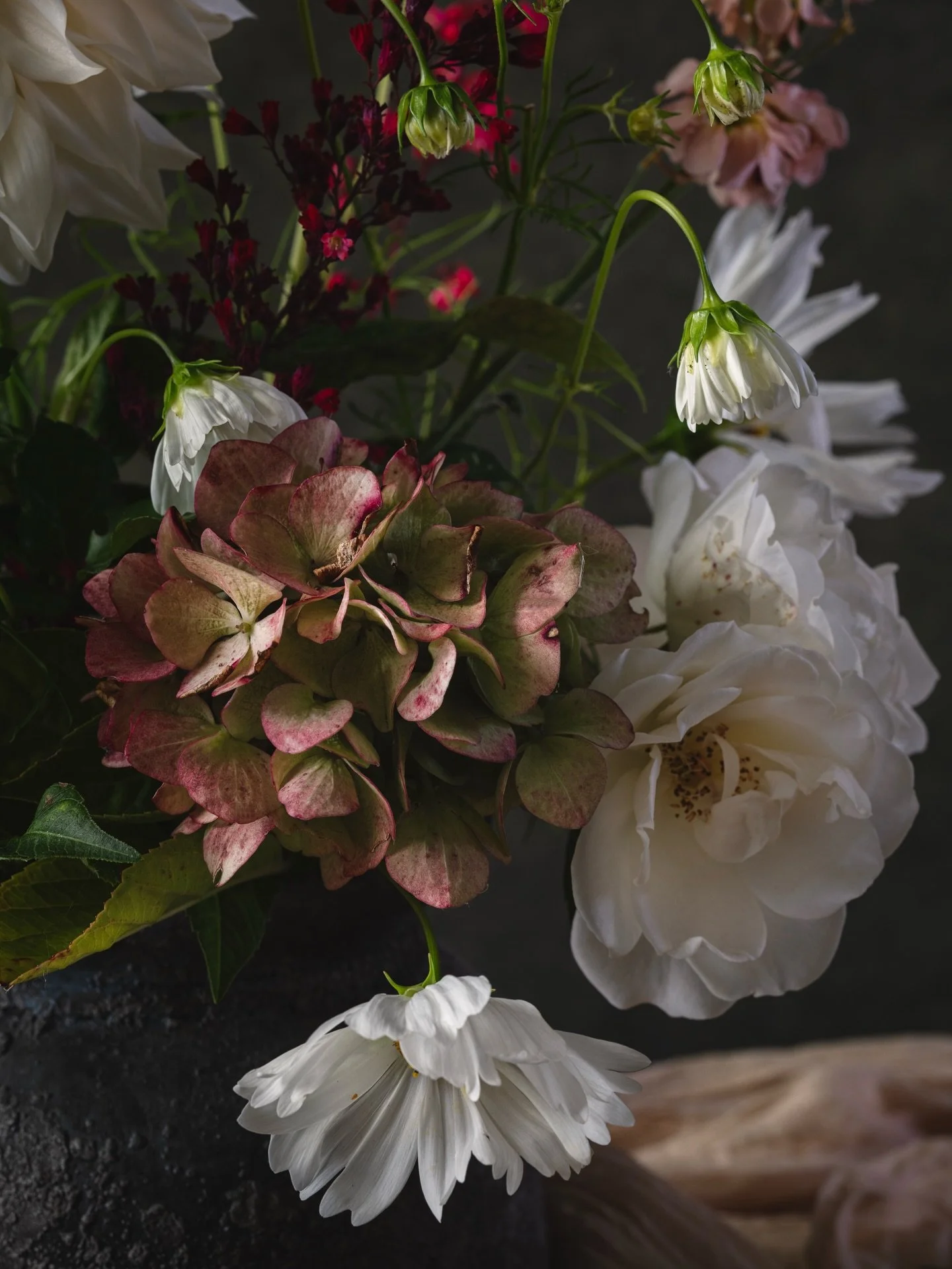 &ldquo;I do not look to others to measure my growth&rdquo; 
said the flower.

&ldquo;The light finds me just the same&rdquo;

#myseasons #softlight #floralfineart #newarkontrent #stilllifephoto