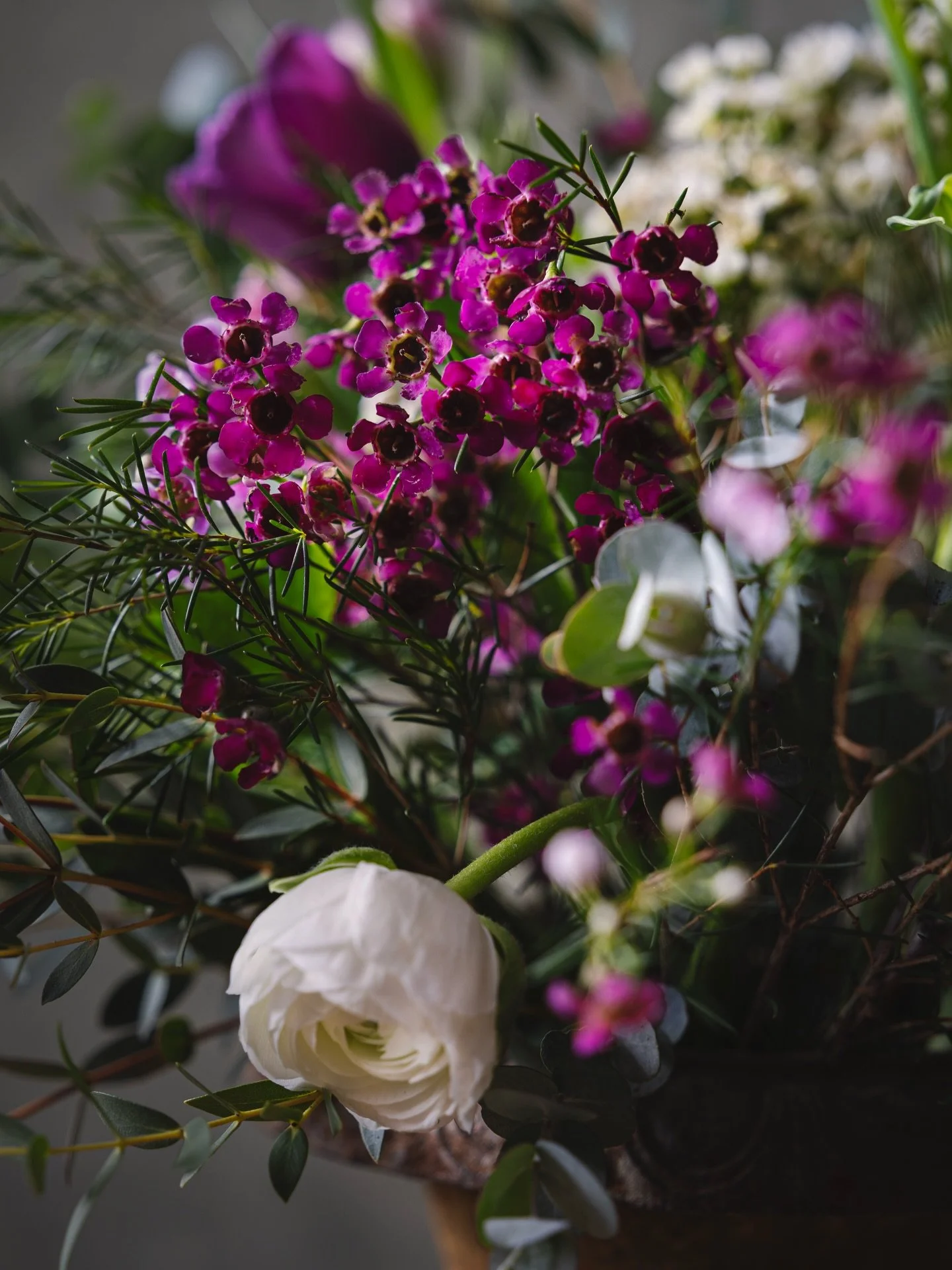 Find the magic in everyday moments 💫

Soft evening light that gently falls on your sweet little bunch of happiness mixed in with some ranunculus 🤍

#myseasons #slowliving #faffingwithflowers #floralfineart #ranunculus