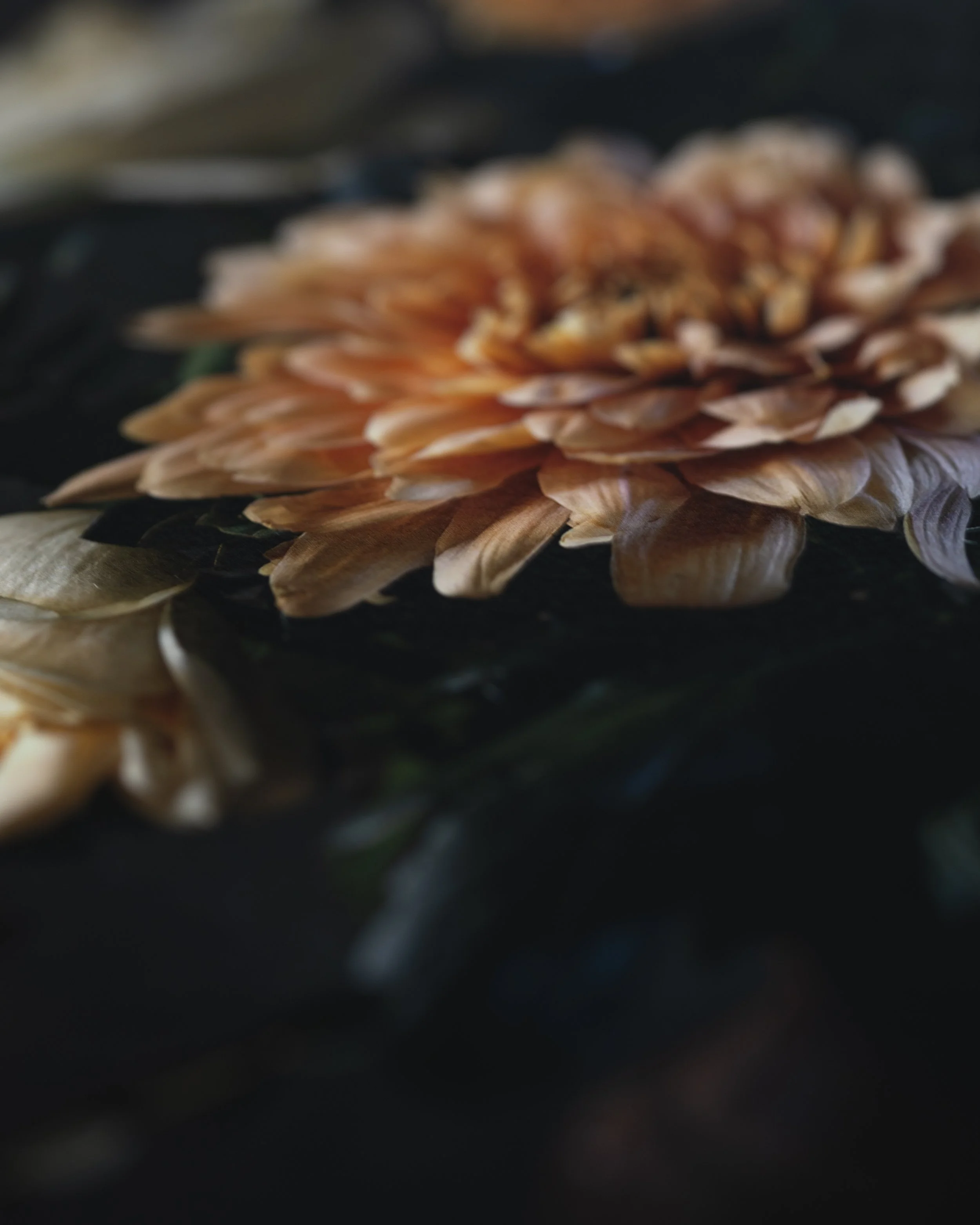 Print - Detail shot 5.jpg