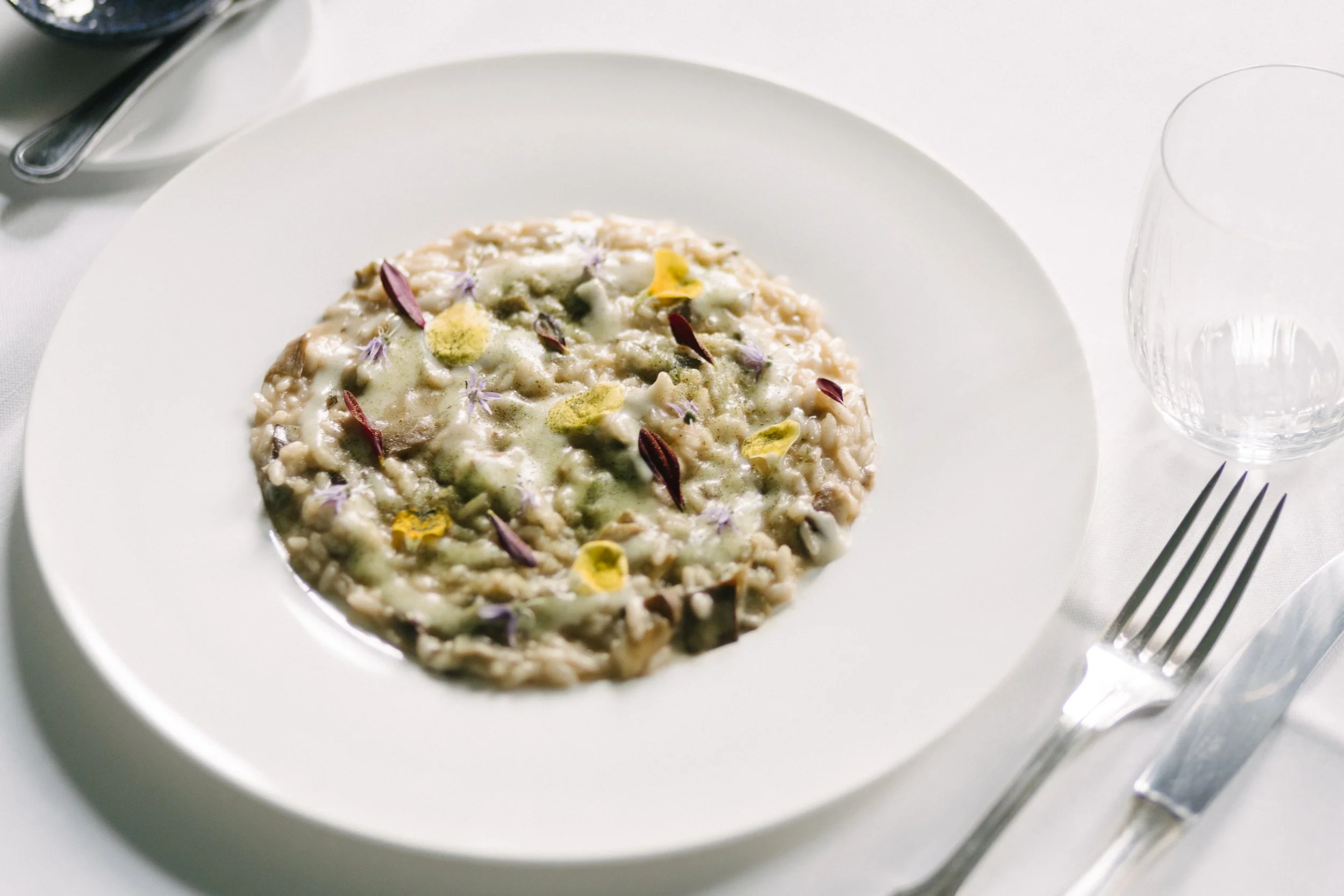 Risotto dans une assiette blanche, garniture avec des fleurs comestibles