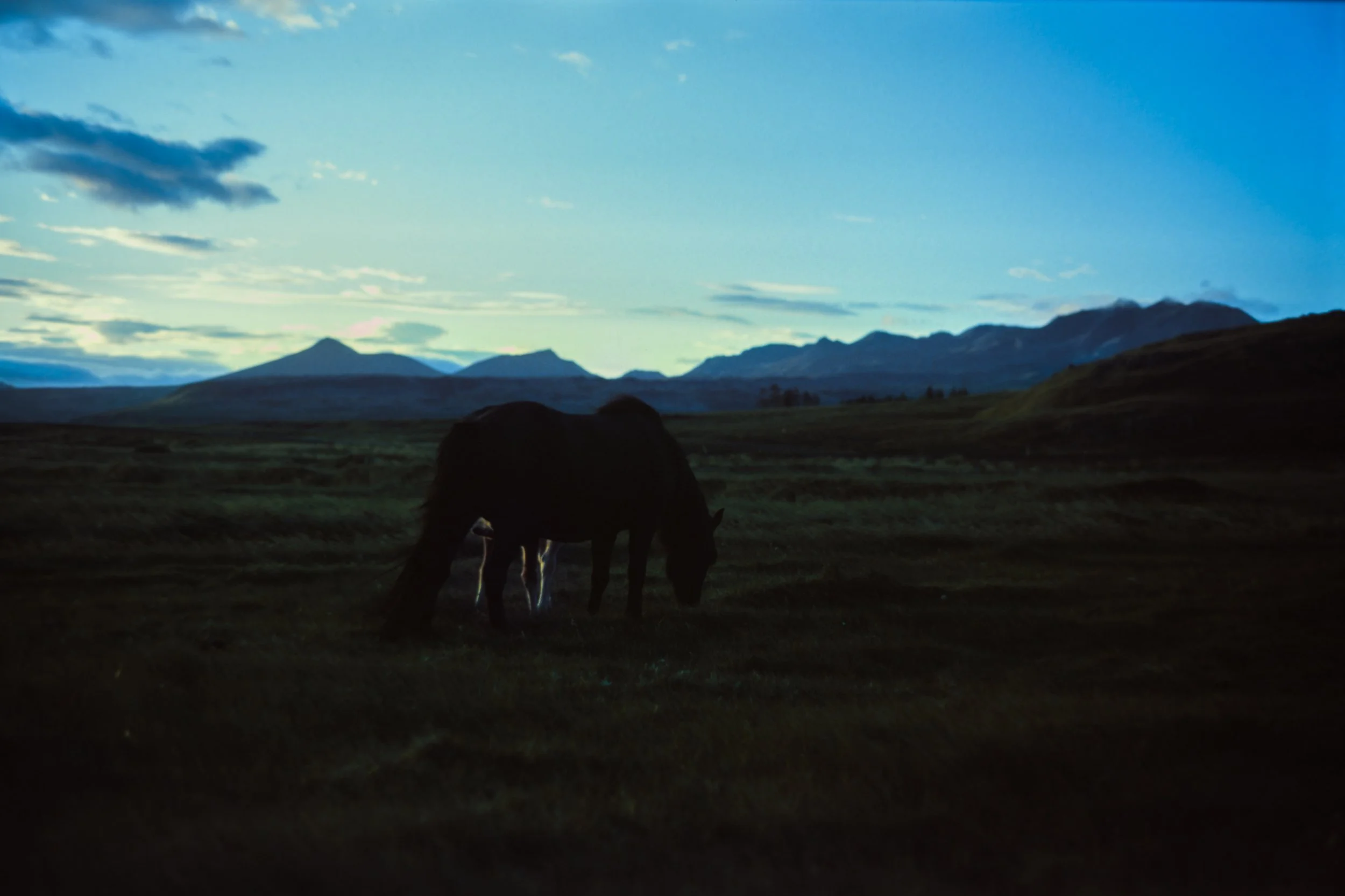 Un cheval noir paissant dans un paysage de montagnes et de champs sous un ciel bleu avec quelques nuages.