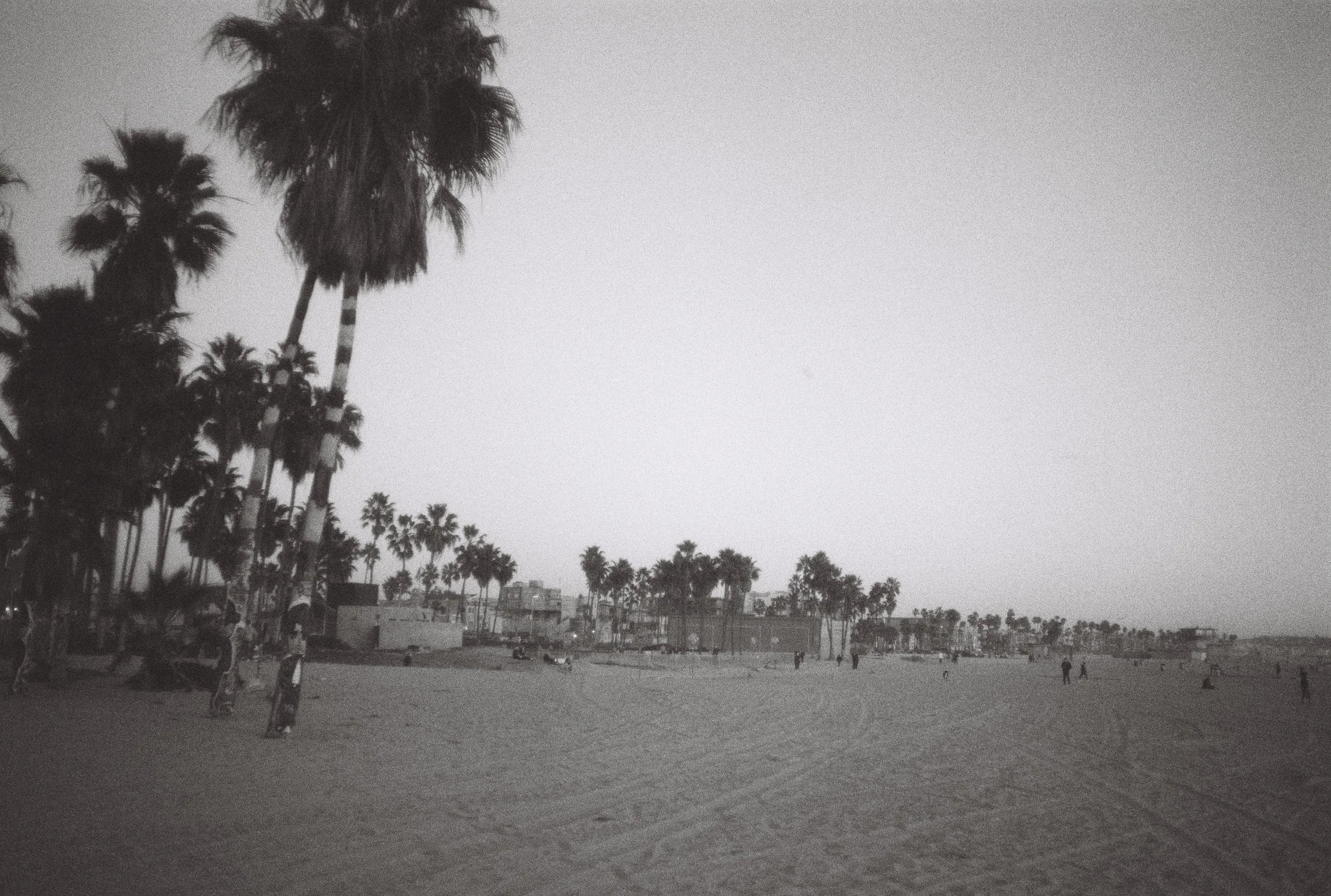 Plage avec des palmiers, quelques personnes et bâtiments en arrière-plan, en noir et blanc.