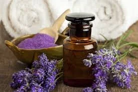 Lavender Essential Oil
