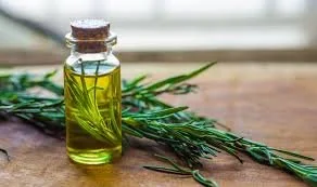Rosemary Essential Oil