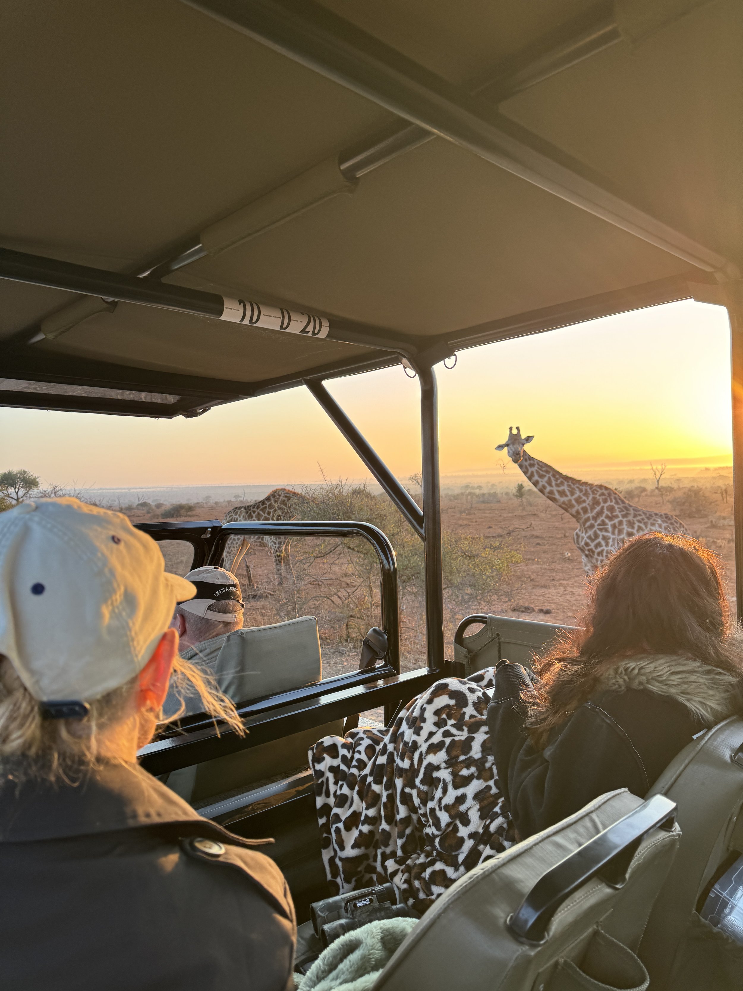 People on a safari vehicle watching a giraffe at sunset in the savannah.