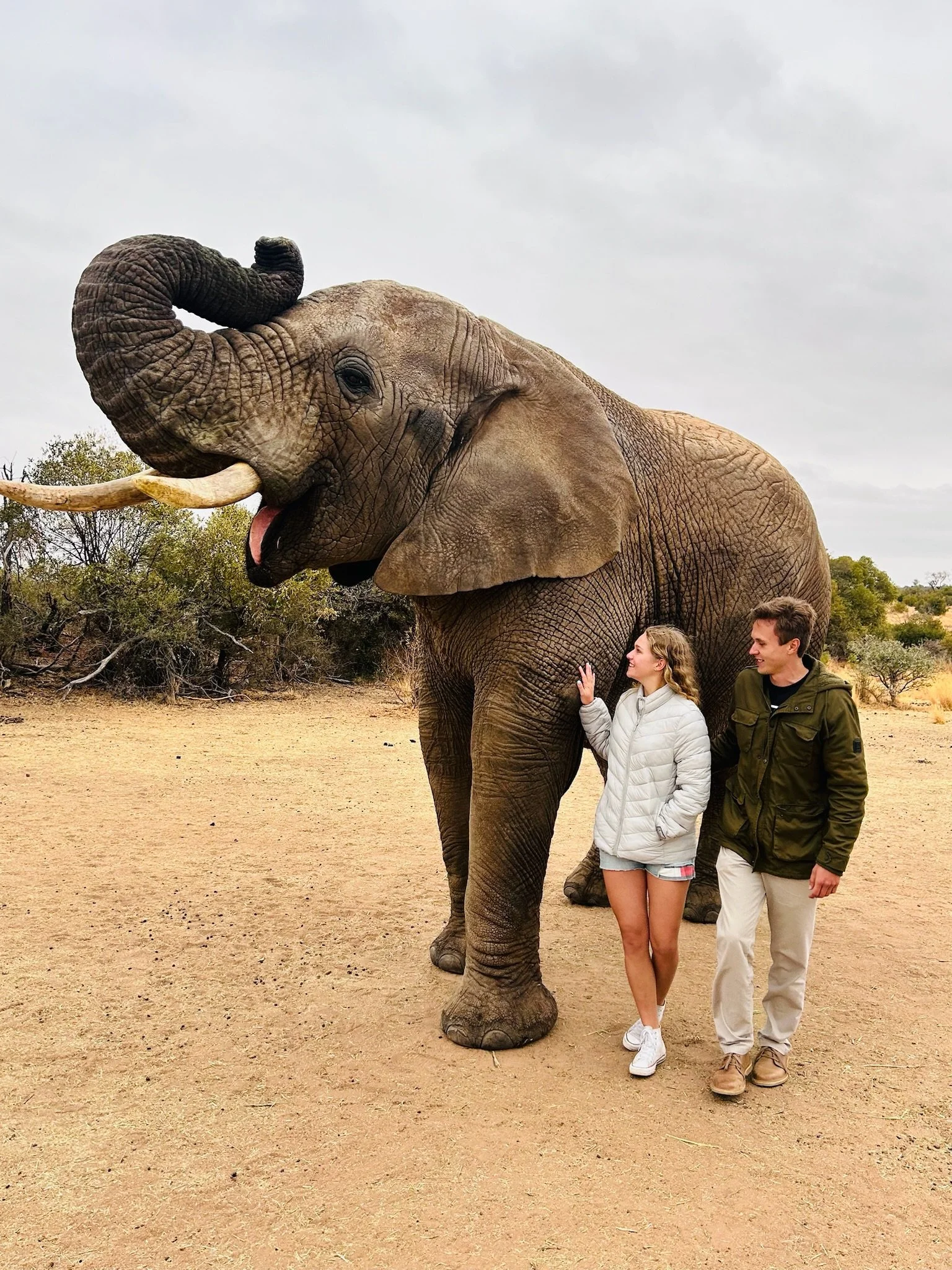 CicadaCo owners Adriaan and Kaylin standing beside their elephant during a guided safari experience in South Africa.
