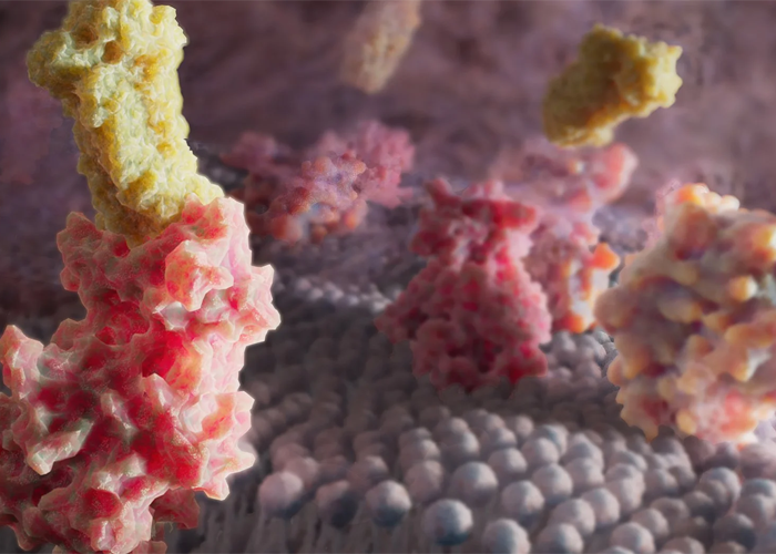 Invest in Digital Art: Exploring Cellular Structures and Forms