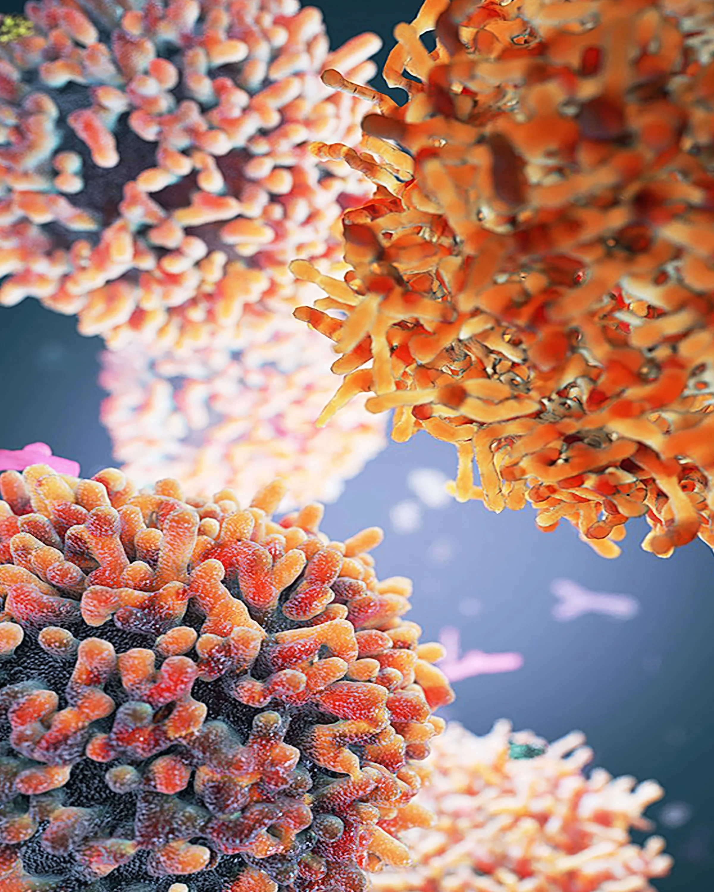 like a colorful coral reefs underwater, creative artwork of floating white blood cells, capturing the dynamic movement and protective role of the immune system through dramatic, science‑inspired visuals.”