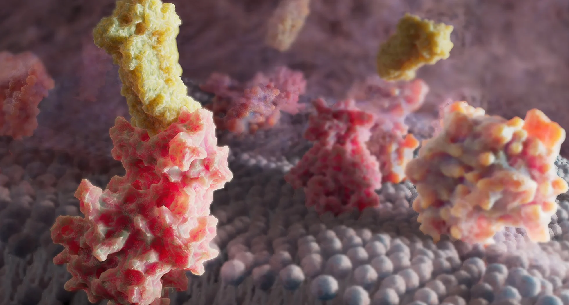 “Drama with light and color,  conceptual artwork of proteins embedded in a lipid membrane, revealing the dynamic architecture of cellular surfaces through bold, science‑inspired visuals.”