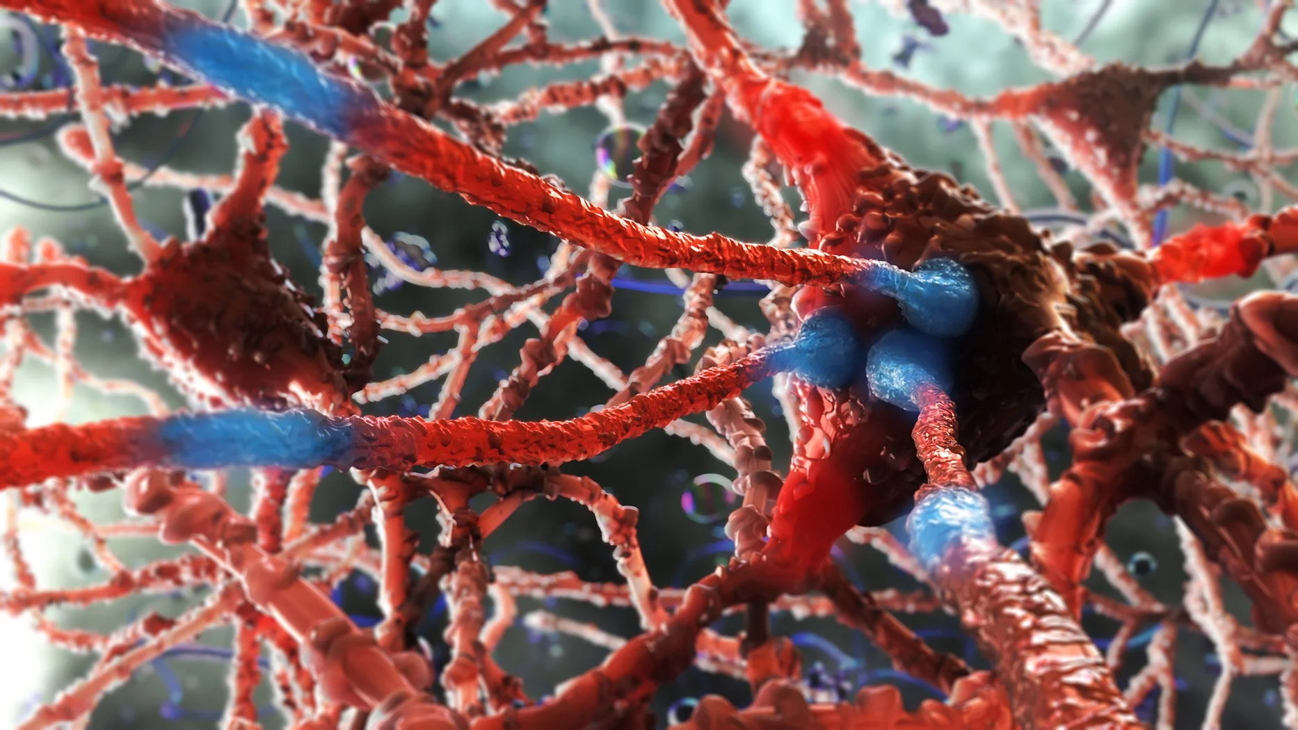 A close-up, microscopic view of interconnected neurons, showcasing their reddish-brown cell bodies and long, thin axons and dendrites, some highlighted in blue.