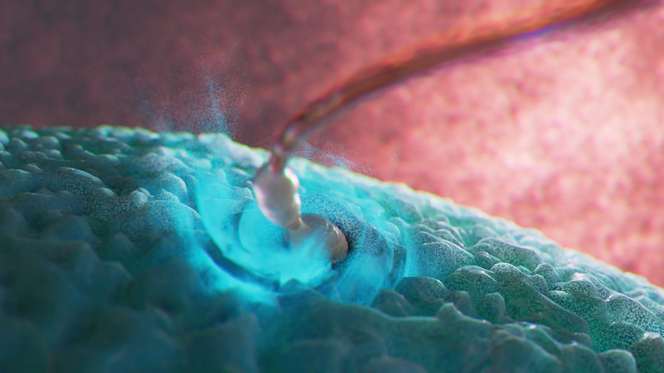“Explore the microscopic moment when a sperm cell meets and fertilizes the human egg. This science‑inspired artwork captures the beginning of life at the cellular level, blending biology, education, and visual storytelling.”