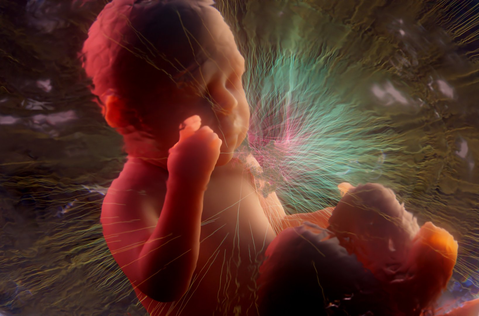 Abstract digital art featuring a fetus in a womb with swirling fluid ,  radiating outward, blending elements of human development and vascular networks .