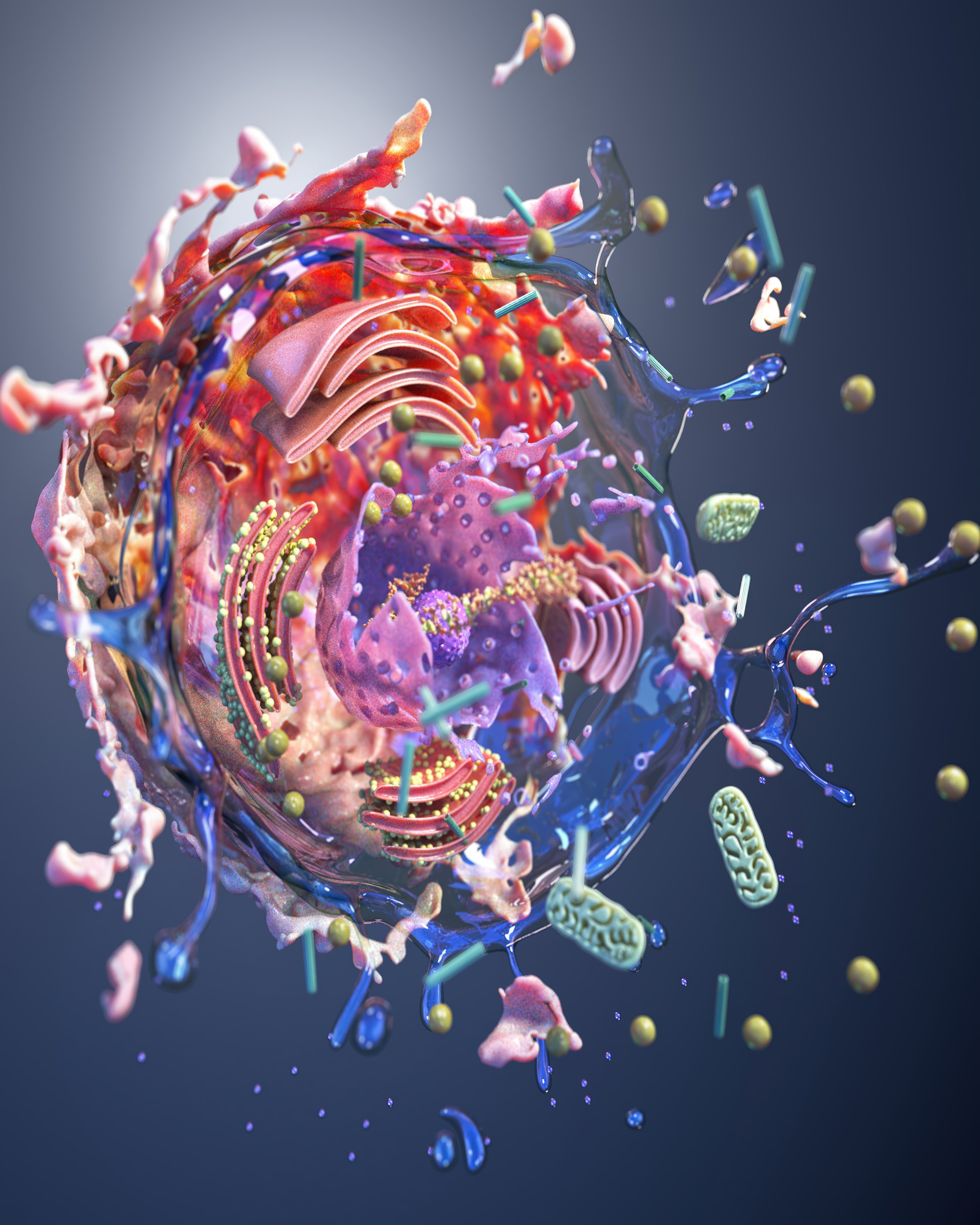 “Artistic interpretation of apoptosis, capturing the elegant, programmed cell death process through dramatic, science‑inspired visual storytelling.”