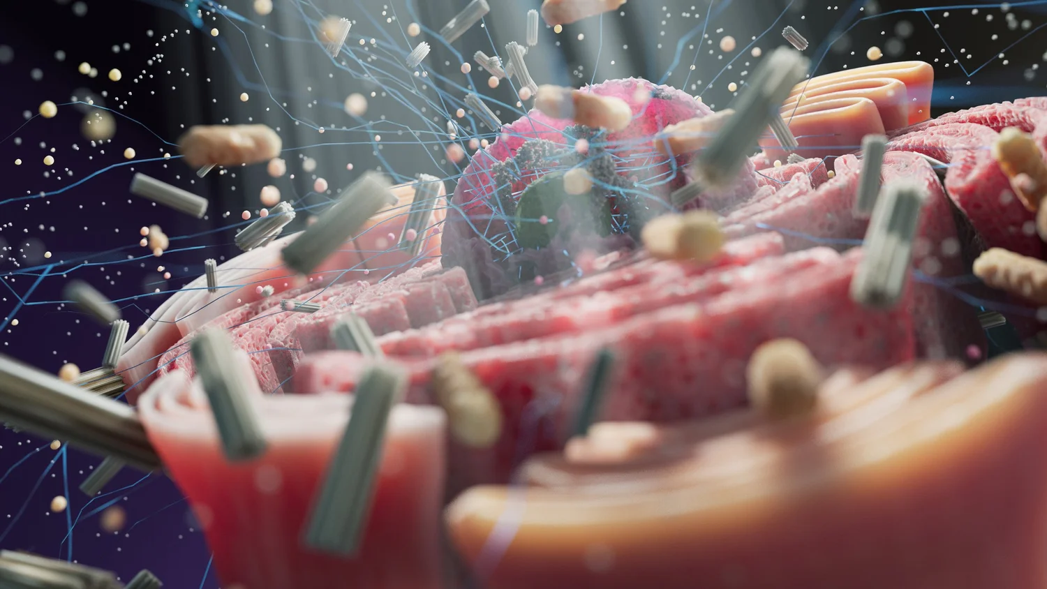 Microforms Meaning MicroForm Gallery – Gallery Representation of Digital Art
