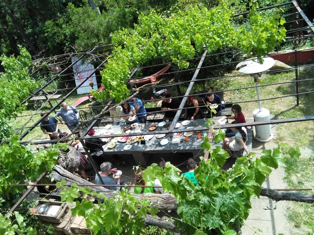 Folk samles rundt et langbord som er satt opp utendørs, de spiser mat og sosialiserer, omgitt av grønne busker og trær.