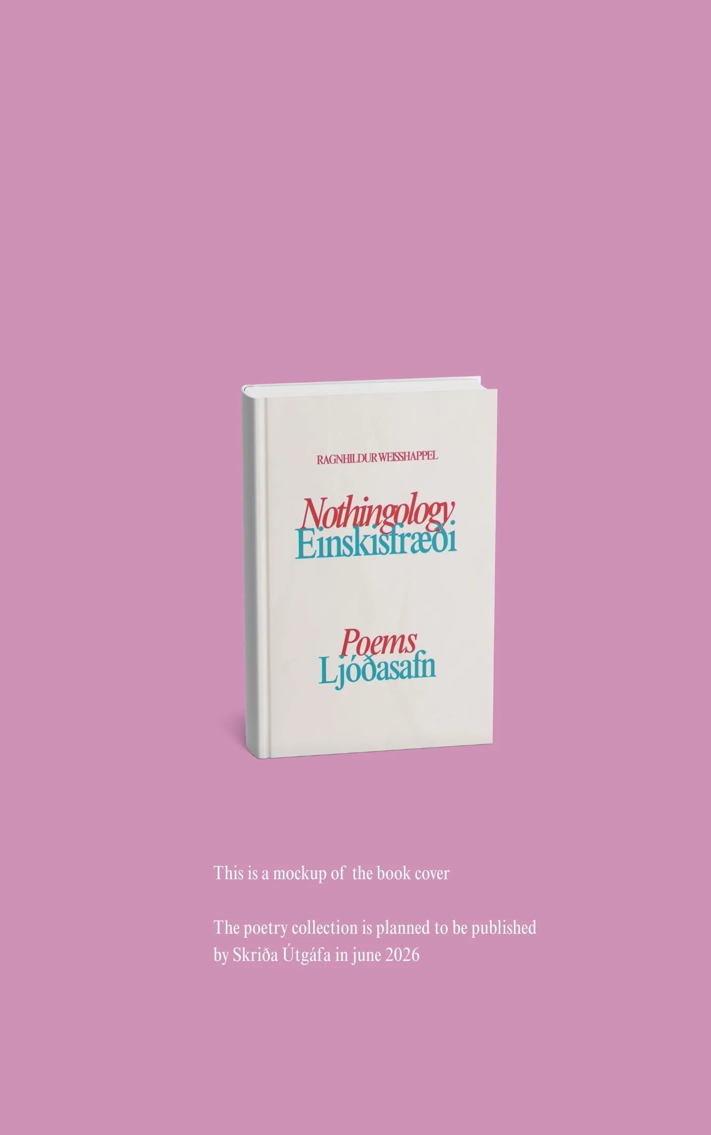 Red Modern Sketch Recipe Book Cover.jpg