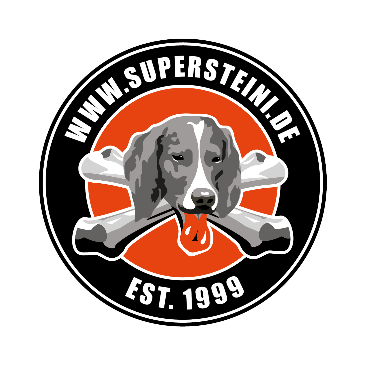 supersteini-Logo.png