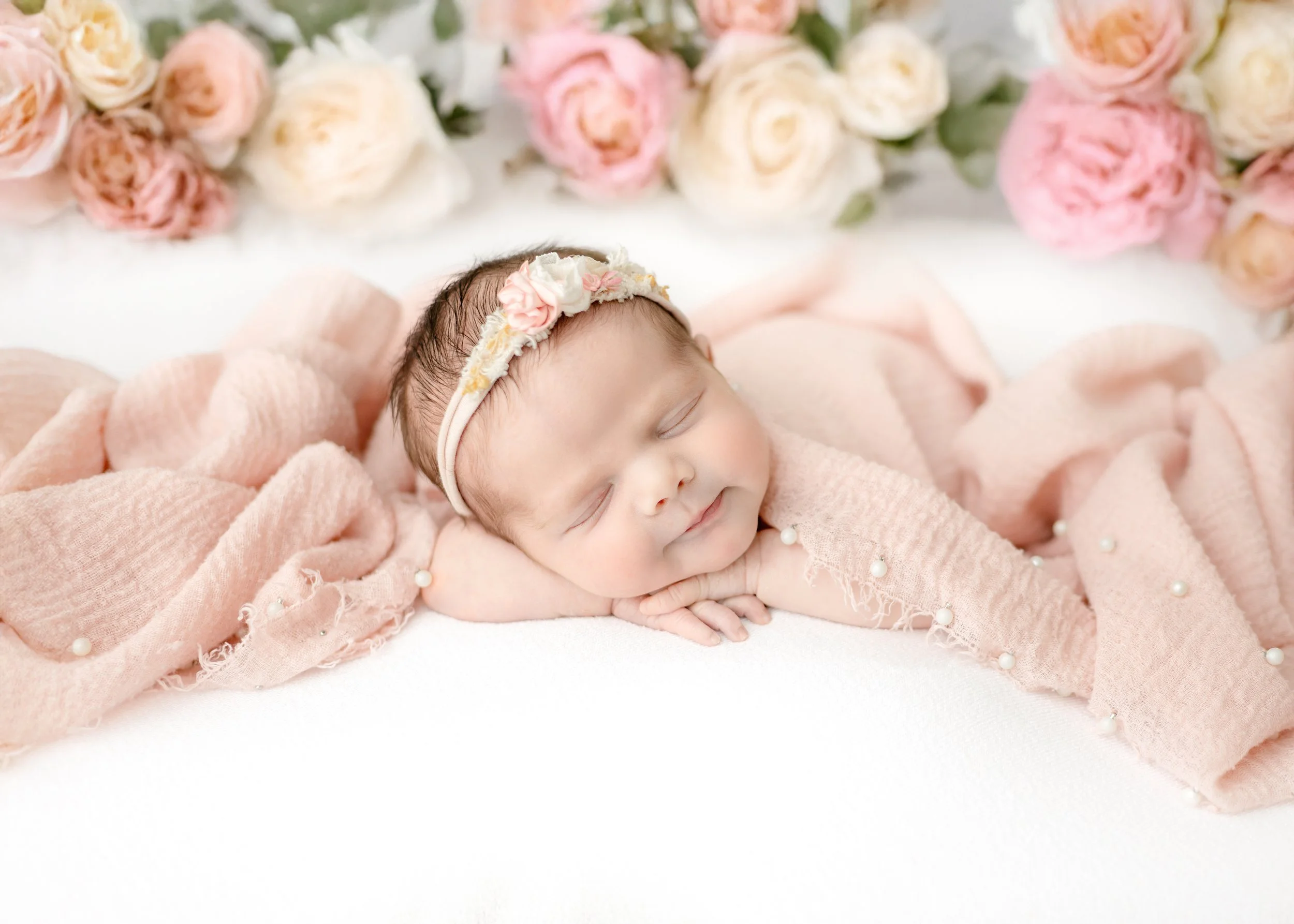 posed newborn photography syracuse studio