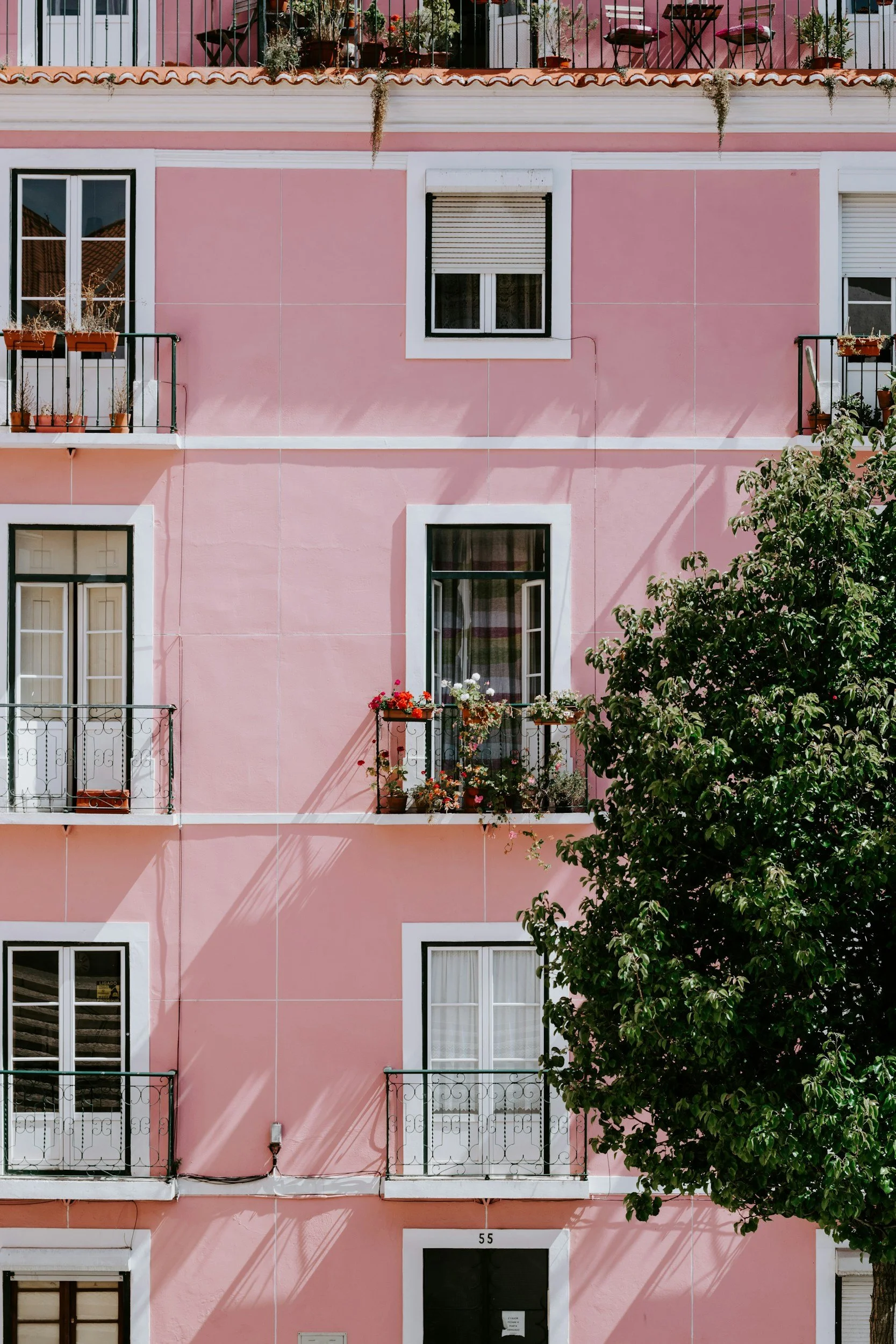 Pink apartment building with multiple windows and small balconies adorned with potted plants and flowers, partially obscured by a large green tree.