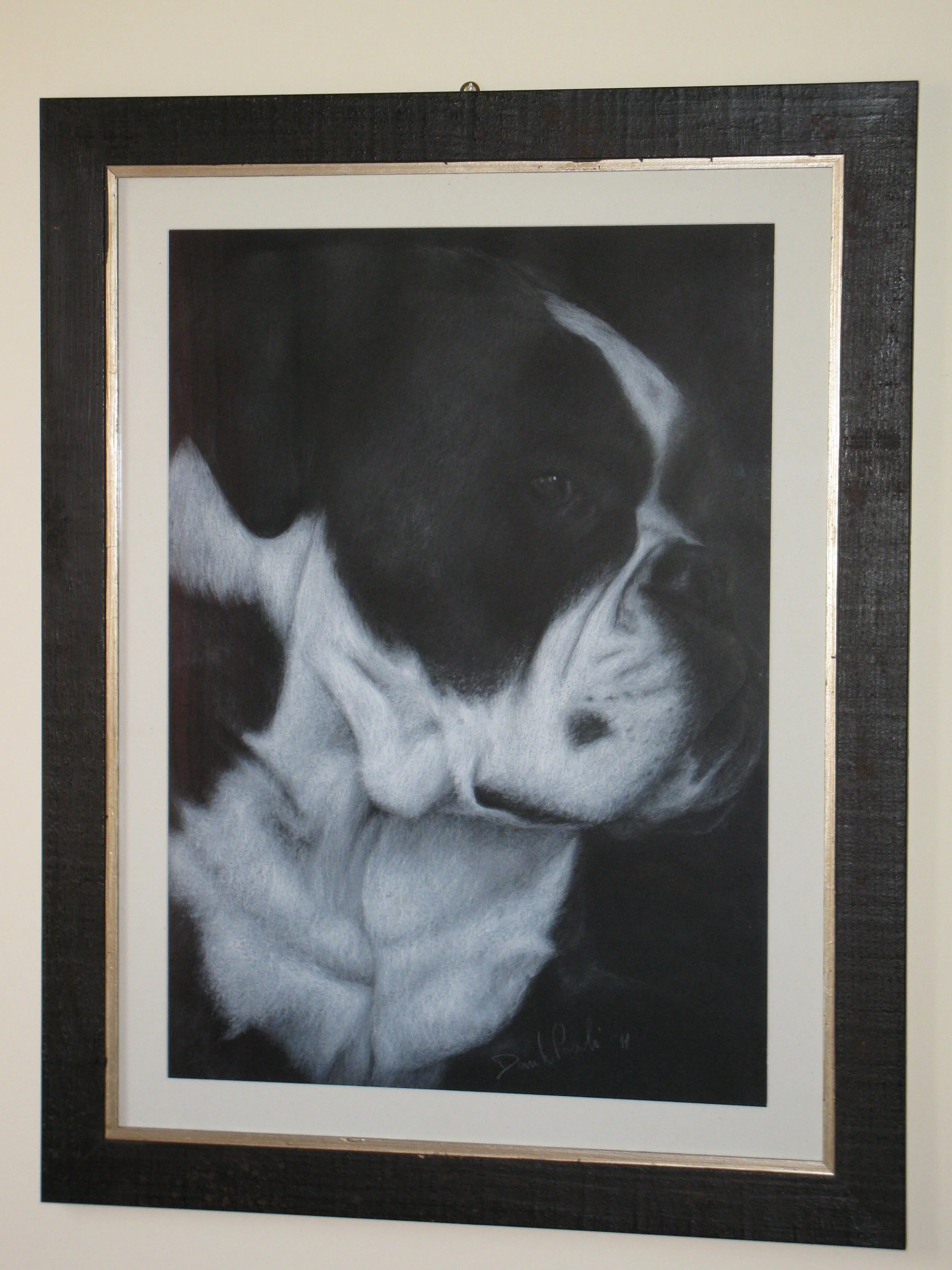 A black and white portrait of a puppy with a dark patch over one eye, framed in a decorative frame hanging on a wall.