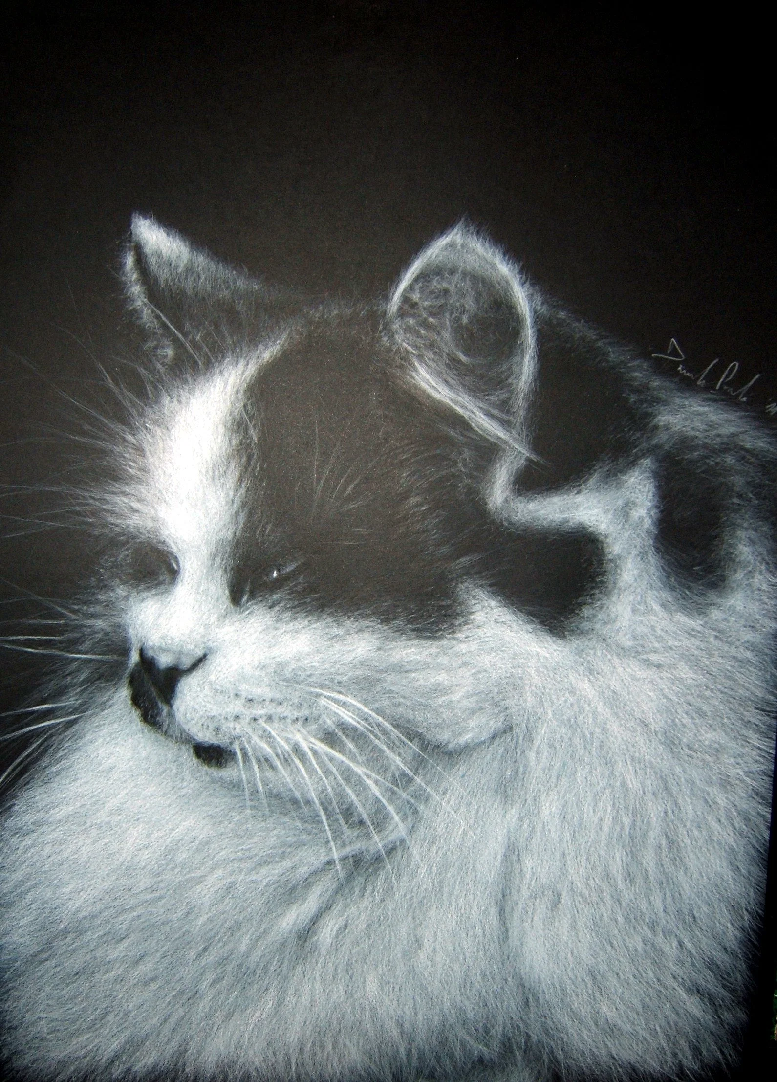 A black and white sketch of a cat with its head resting on its paw, looking to the left.