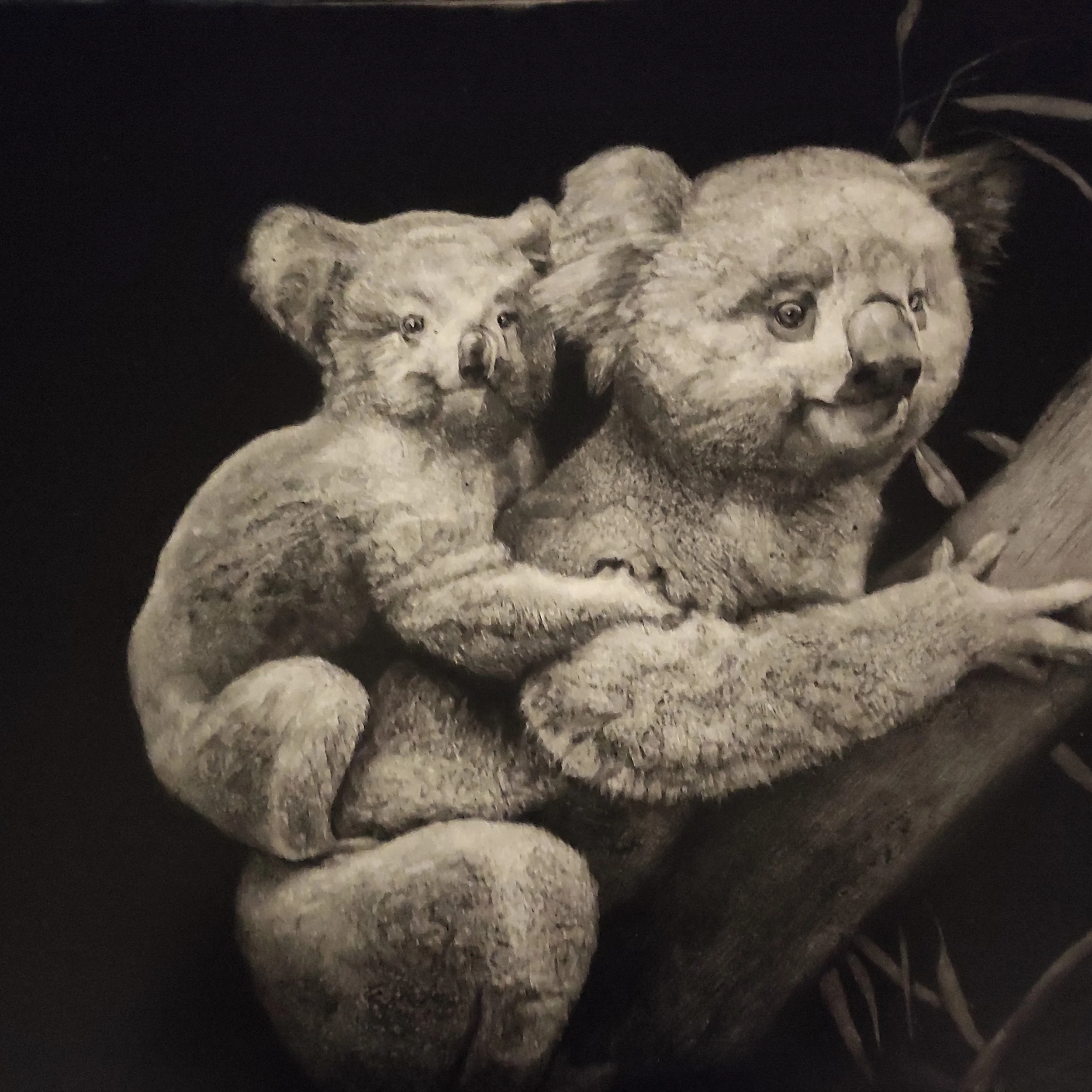 A sculpture of a koala bear with a smaller koala on its back, both with detailed features.