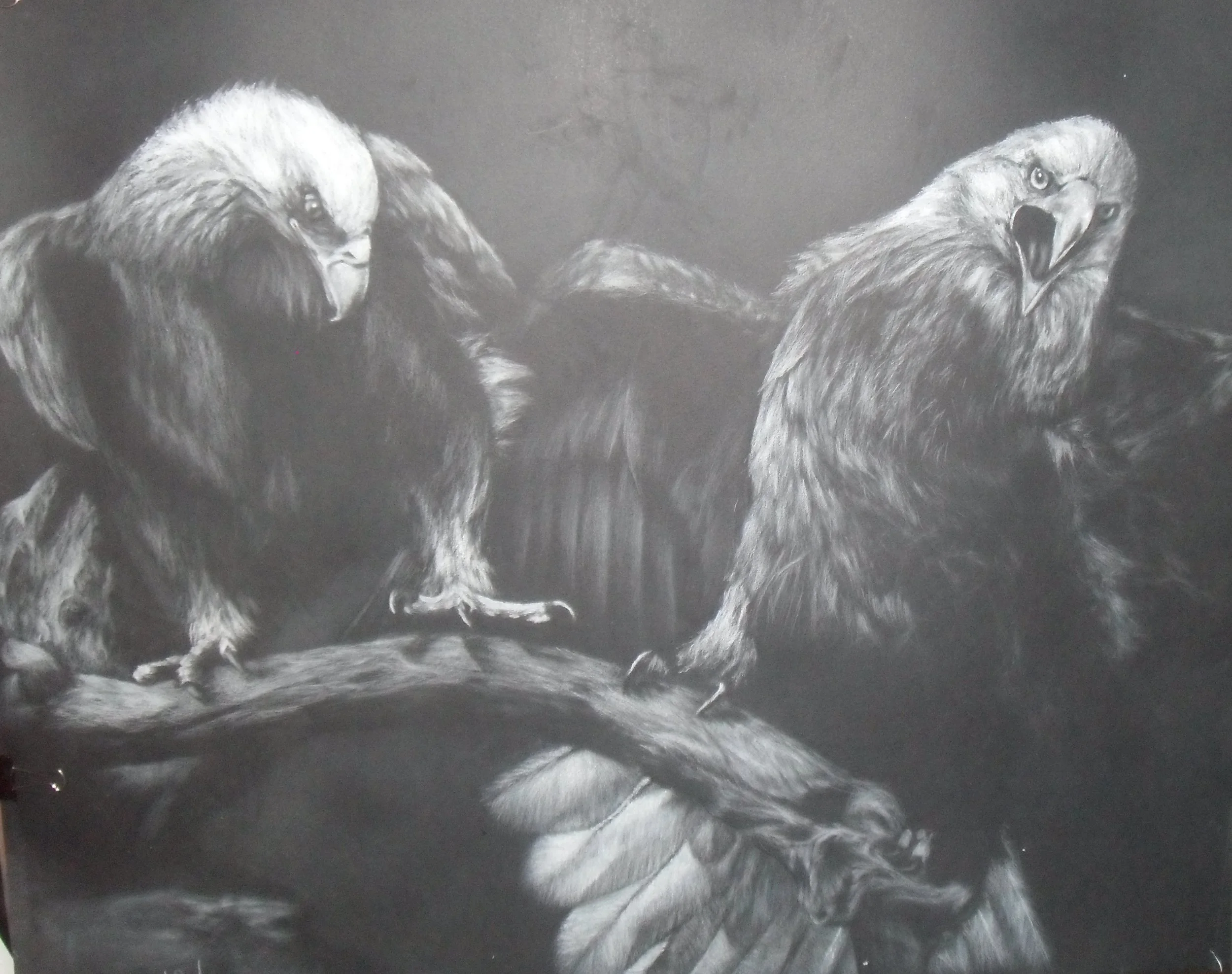 Black and white drawing of two eagles with wings spread, perched on a branch.