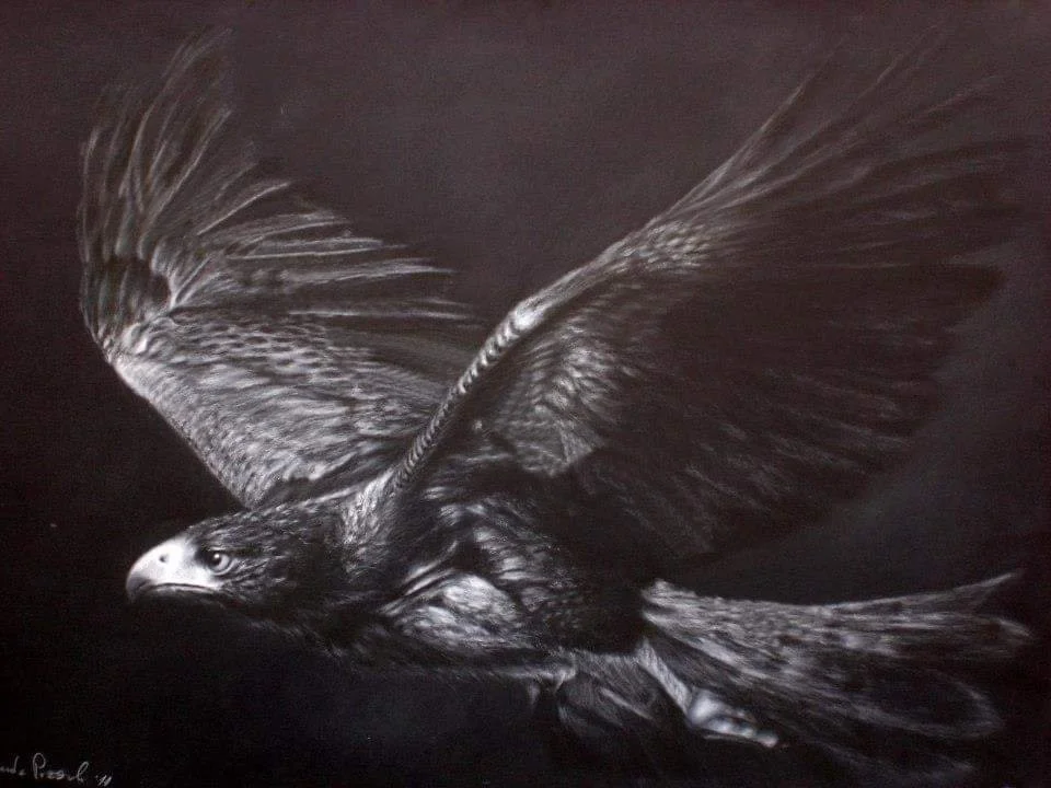 Black and white drawing of an eagle in flight with its wings spread wide.