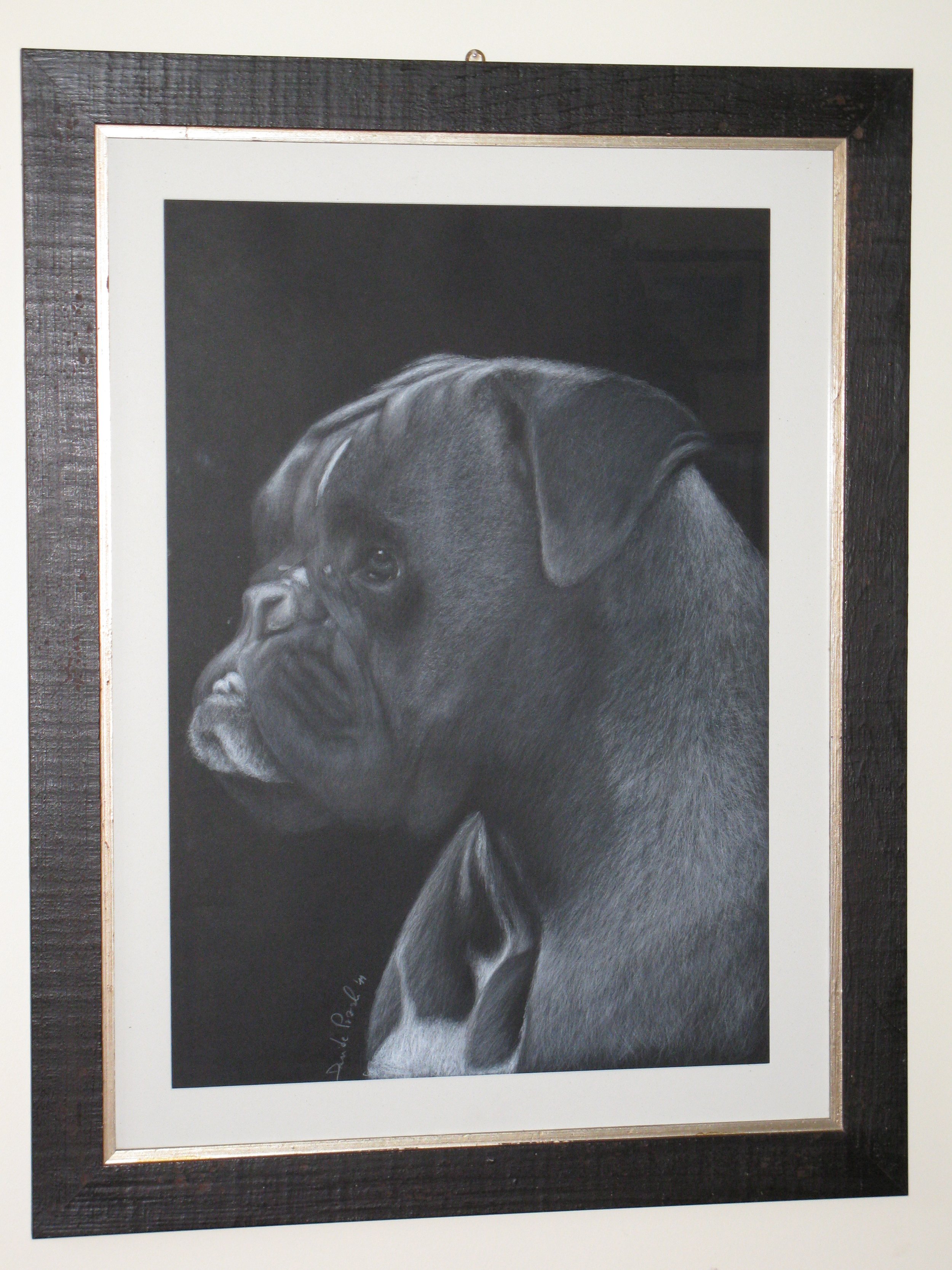 Black and white portrait of a bulldog with a serious expression, framed and hanging on a wall.