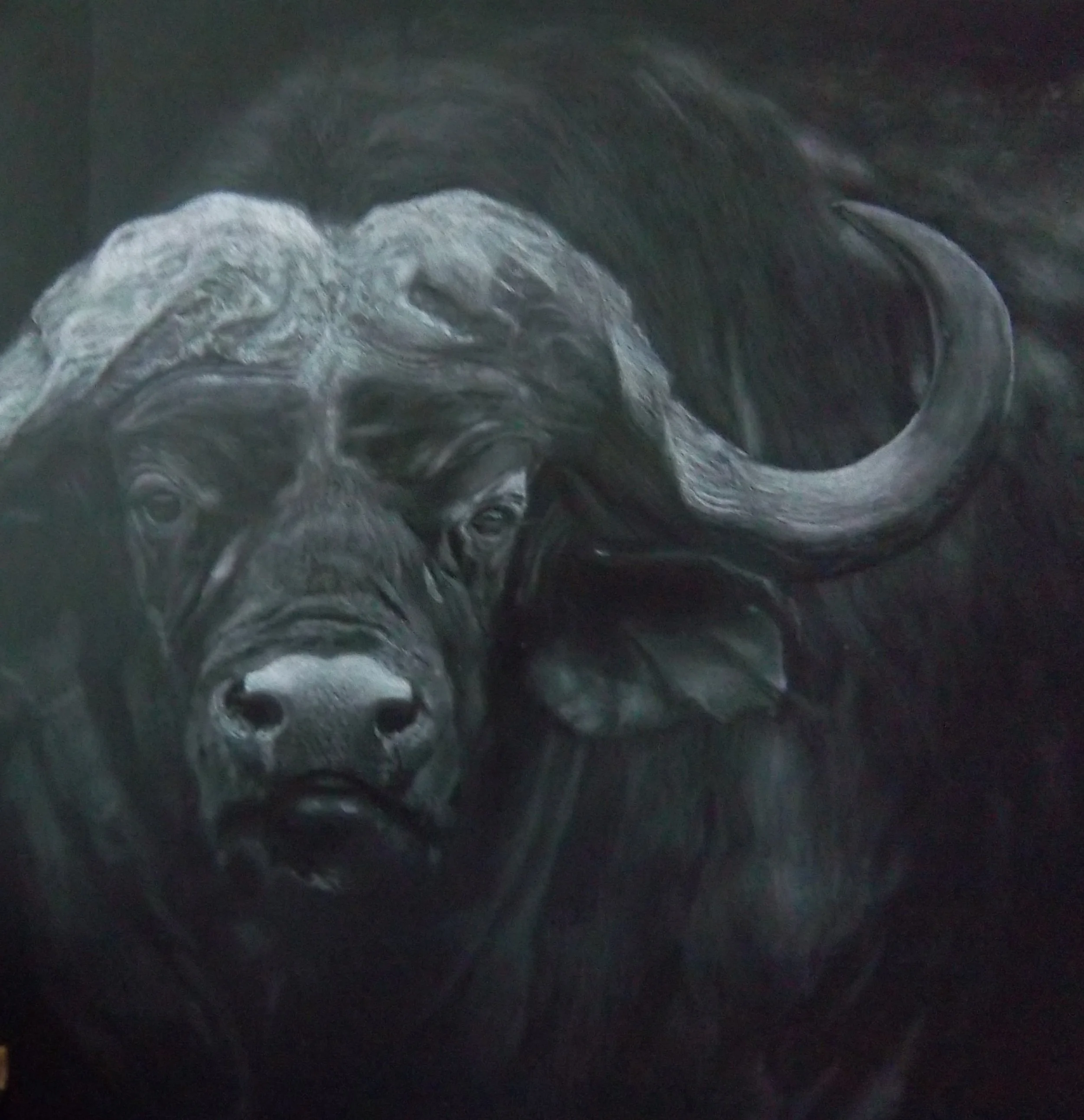 Close-up view of a rucksack with a detailed embossed animal design, possibly a buffalo or bison, on the surface.