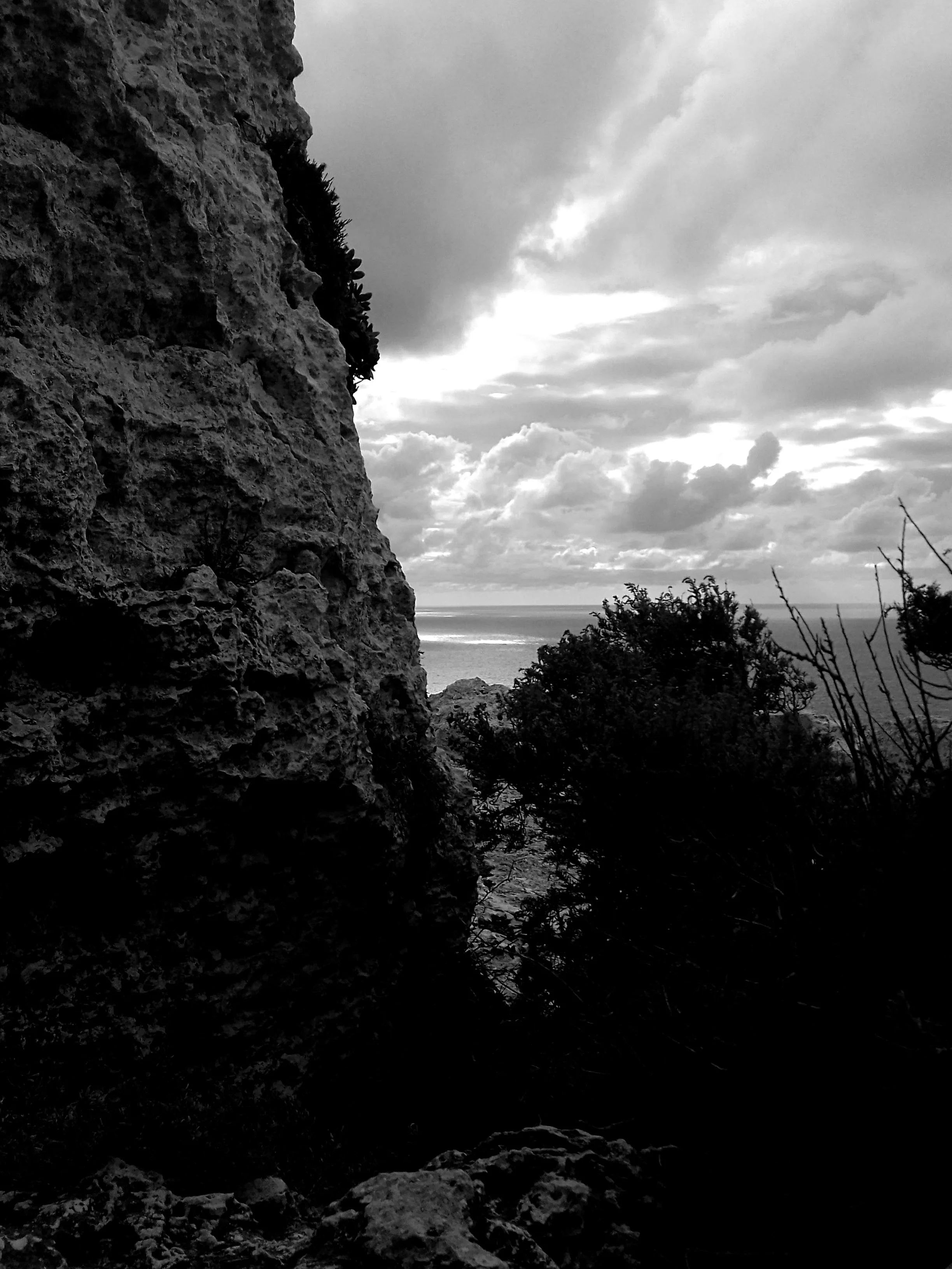 Black and white photo of a rocky cliff on the left with ocean and cloudy sky in the background, with some vegetation in the foreground.