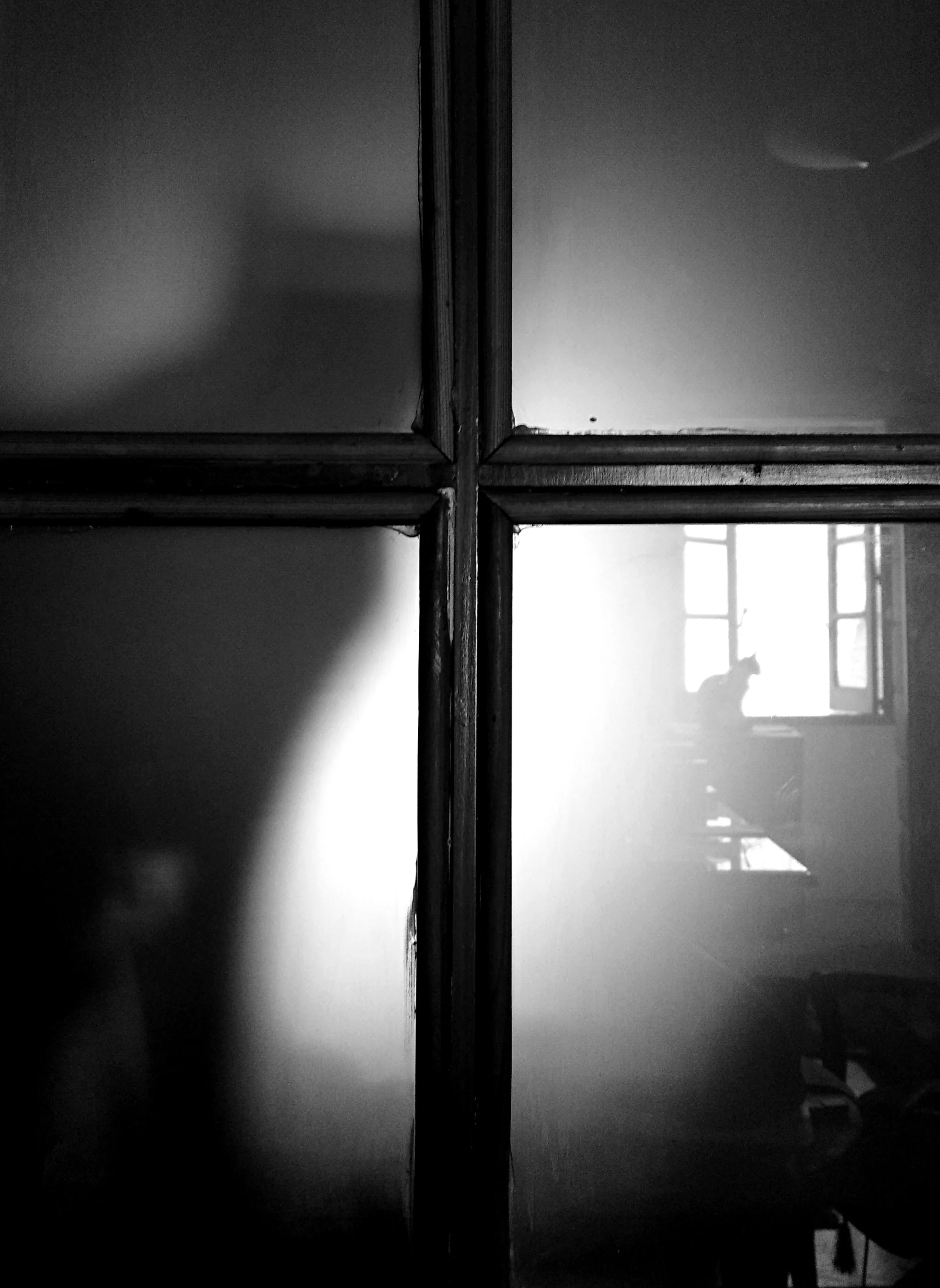 Black and white photo of a window with sunlight coming through, with curtains and a silhouette of a cat sitting on the windowsill.