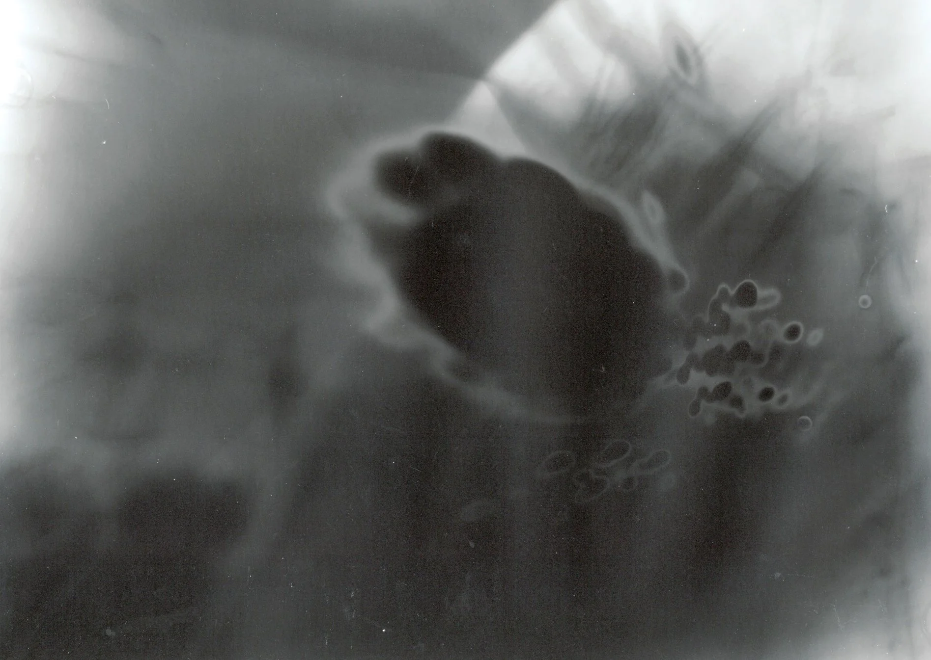 Black and white abstract photo using photogram technique,  blurred light and shadow effects, creating a surreal atmosphere.