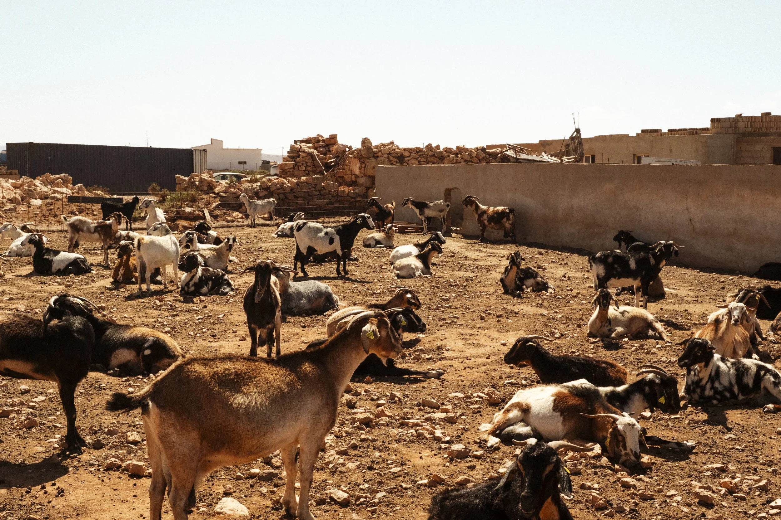 Fuji Fuerteventura-12.jpg