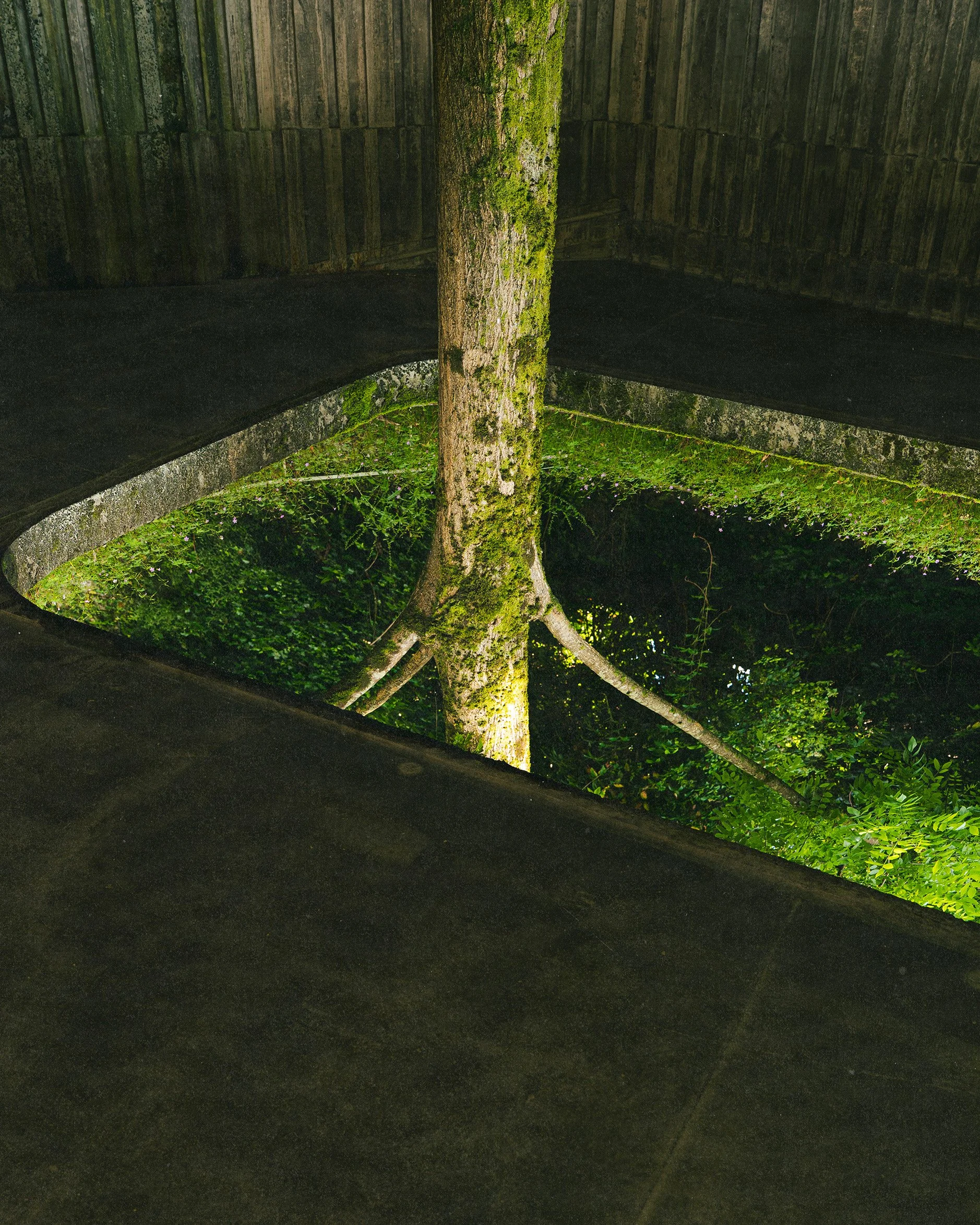 Lift Brutalista-10.jpg