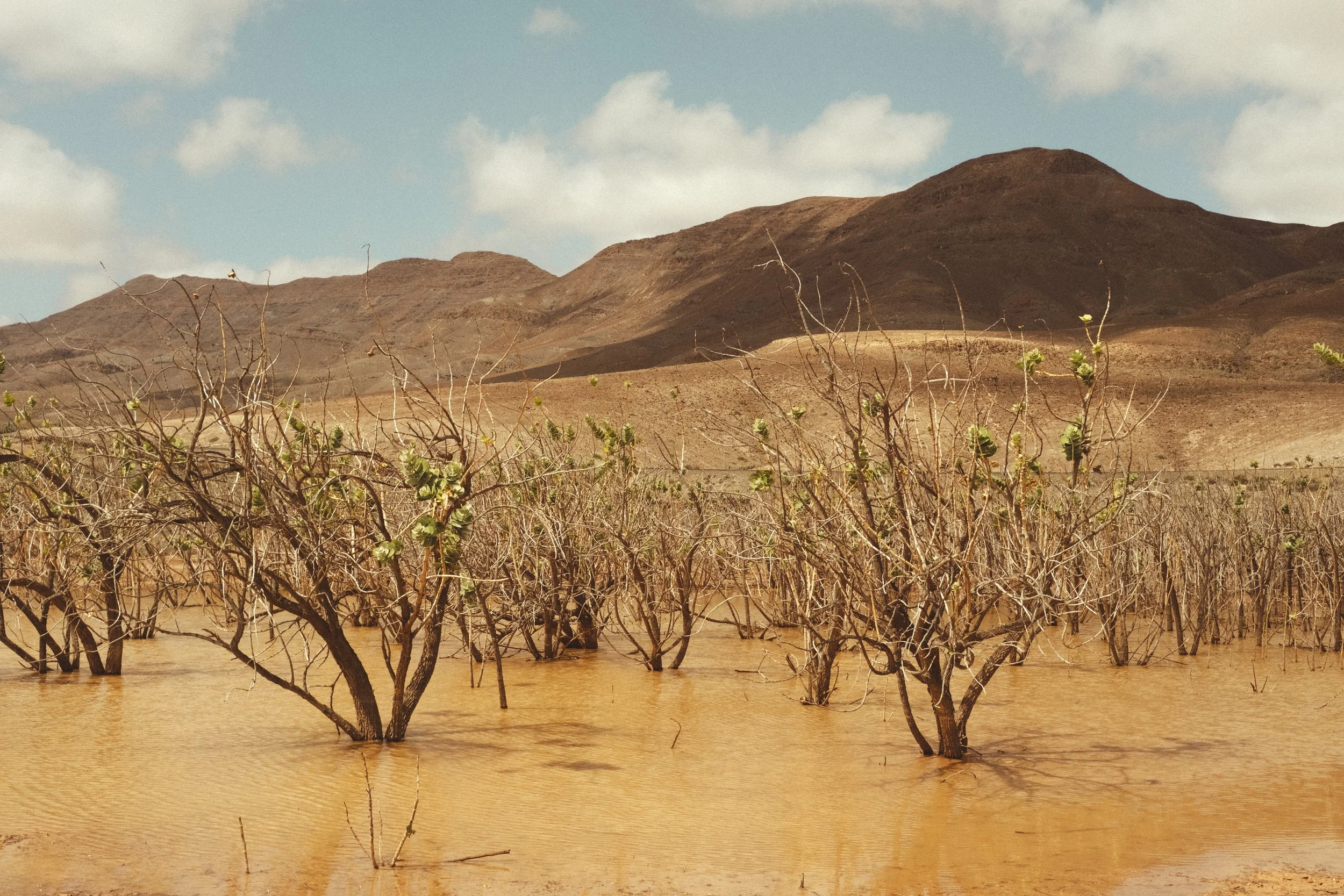 Fuerteventura Bikepacking-69.jpg