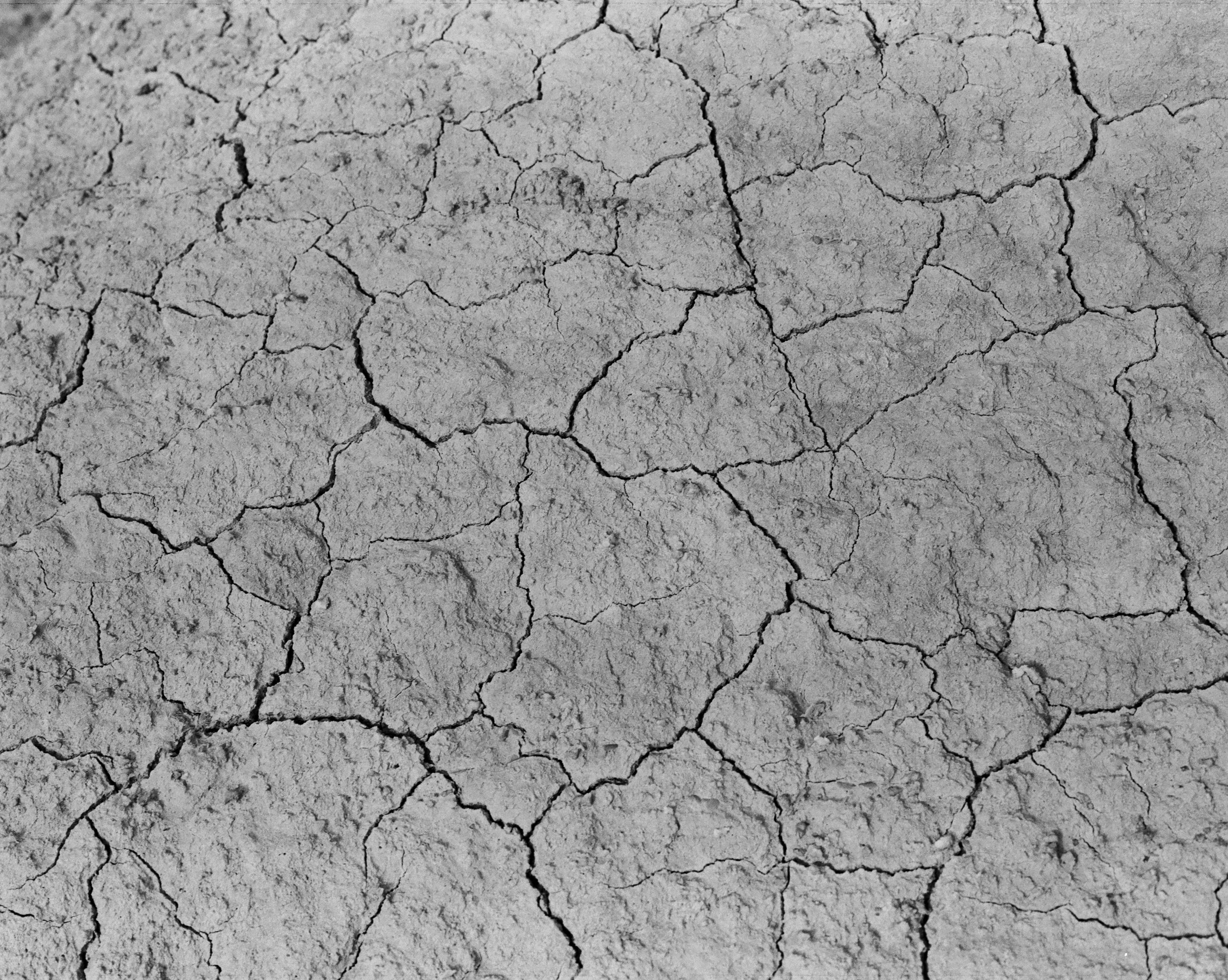 Bardenas Trix400-8.jpg